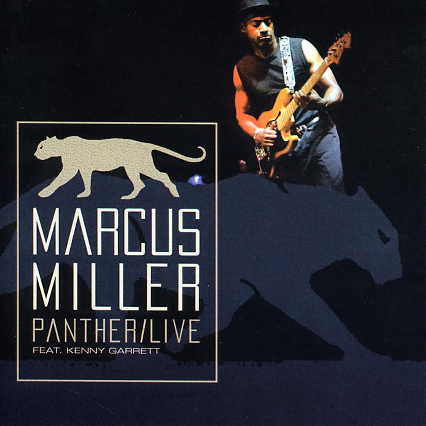 Marcus Miller - Tutu (Live)