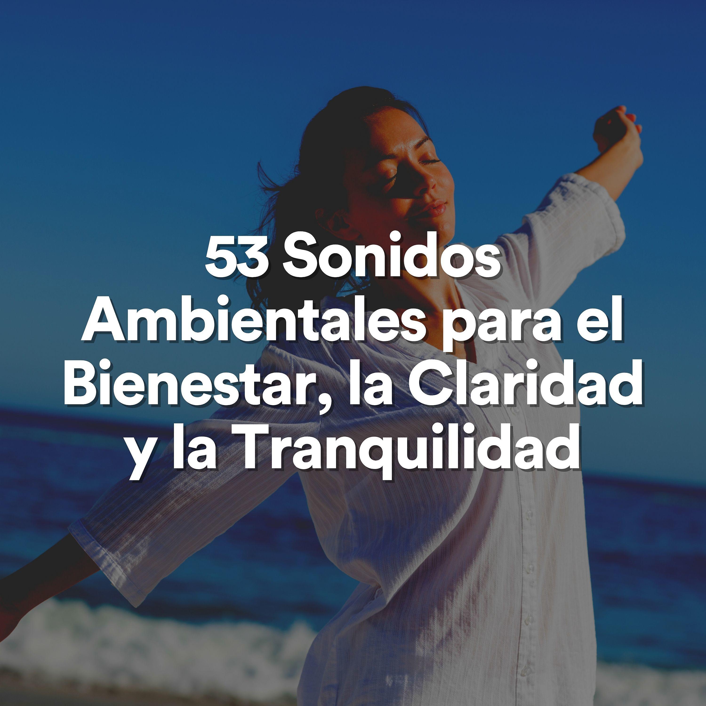 Постер альбома 53 Sonidos Ambientales para el Bienestar, la Claridad y la Tranquilidad