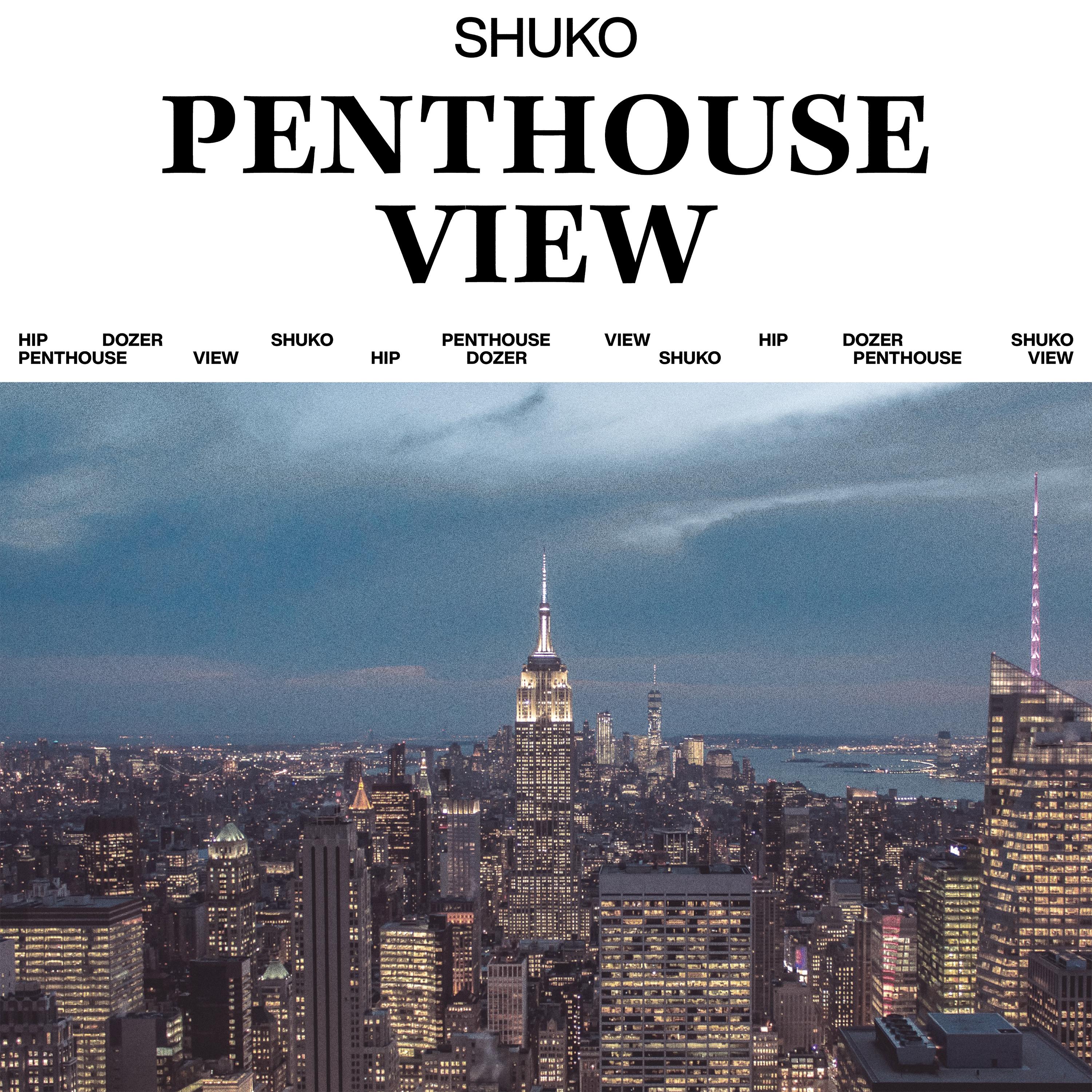 Постер альбома Penthouse View