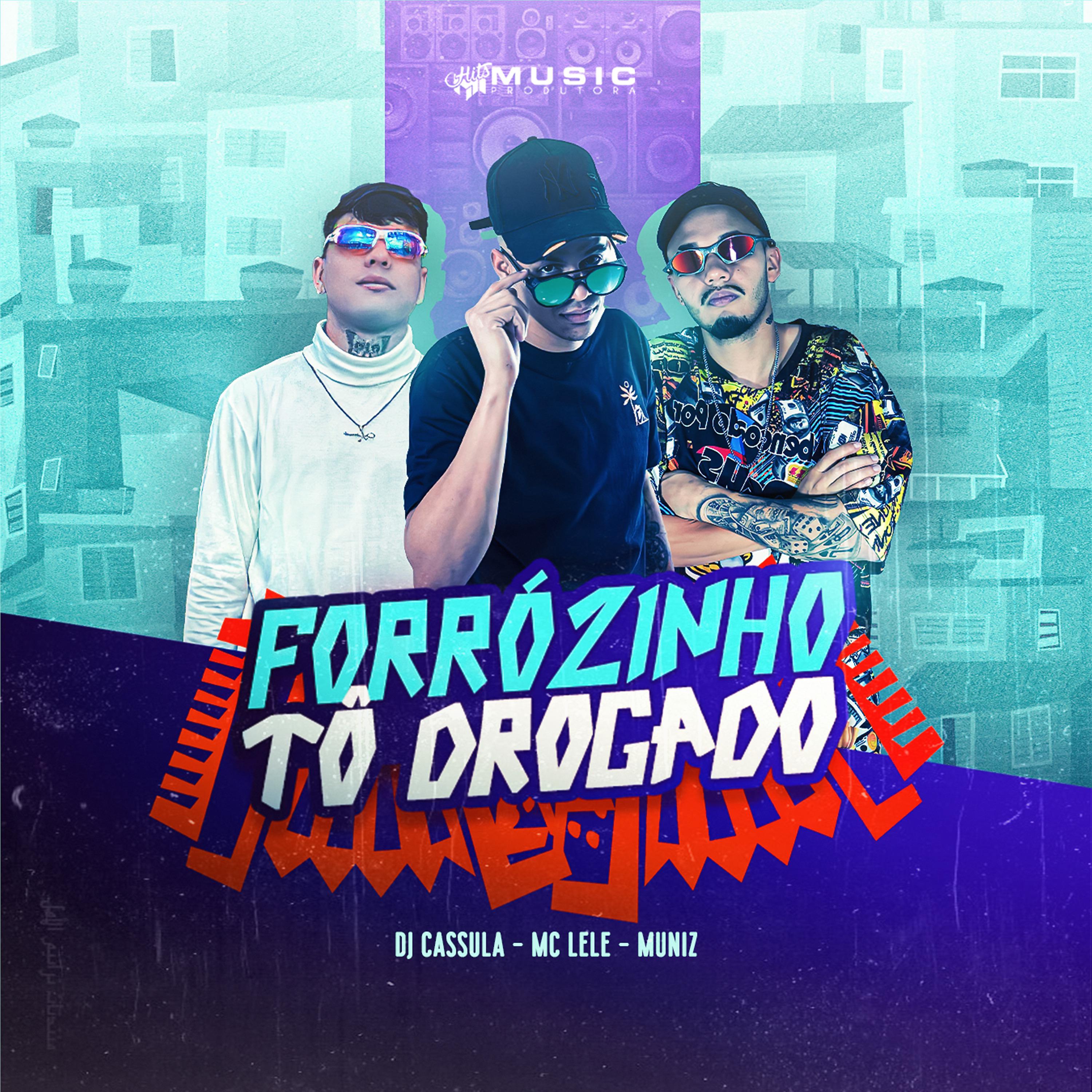 Постер альбома Forrozinho To Drogado