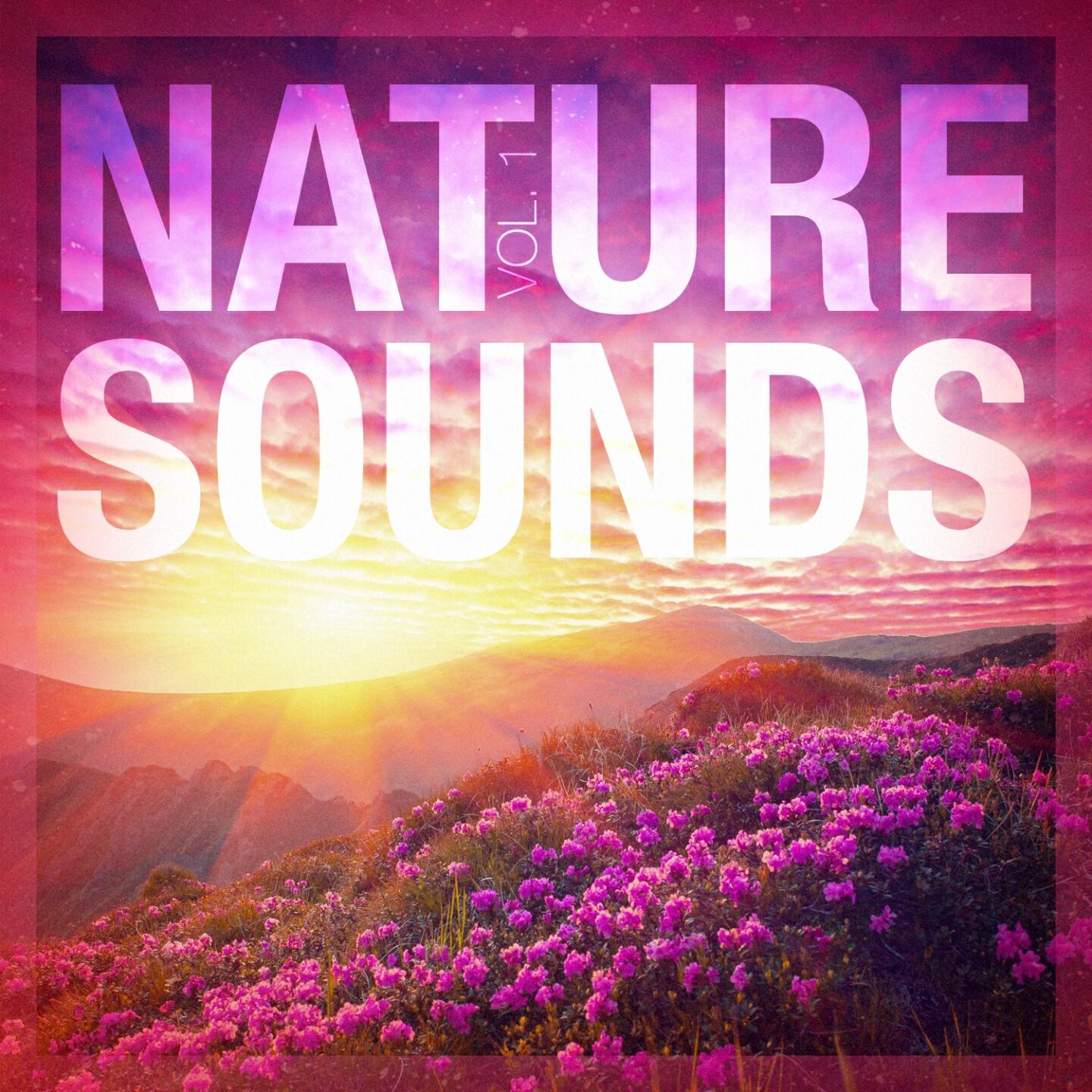 Relaxing Sounds Of Nature - Sounds from the Sea 3: Breaking Waves