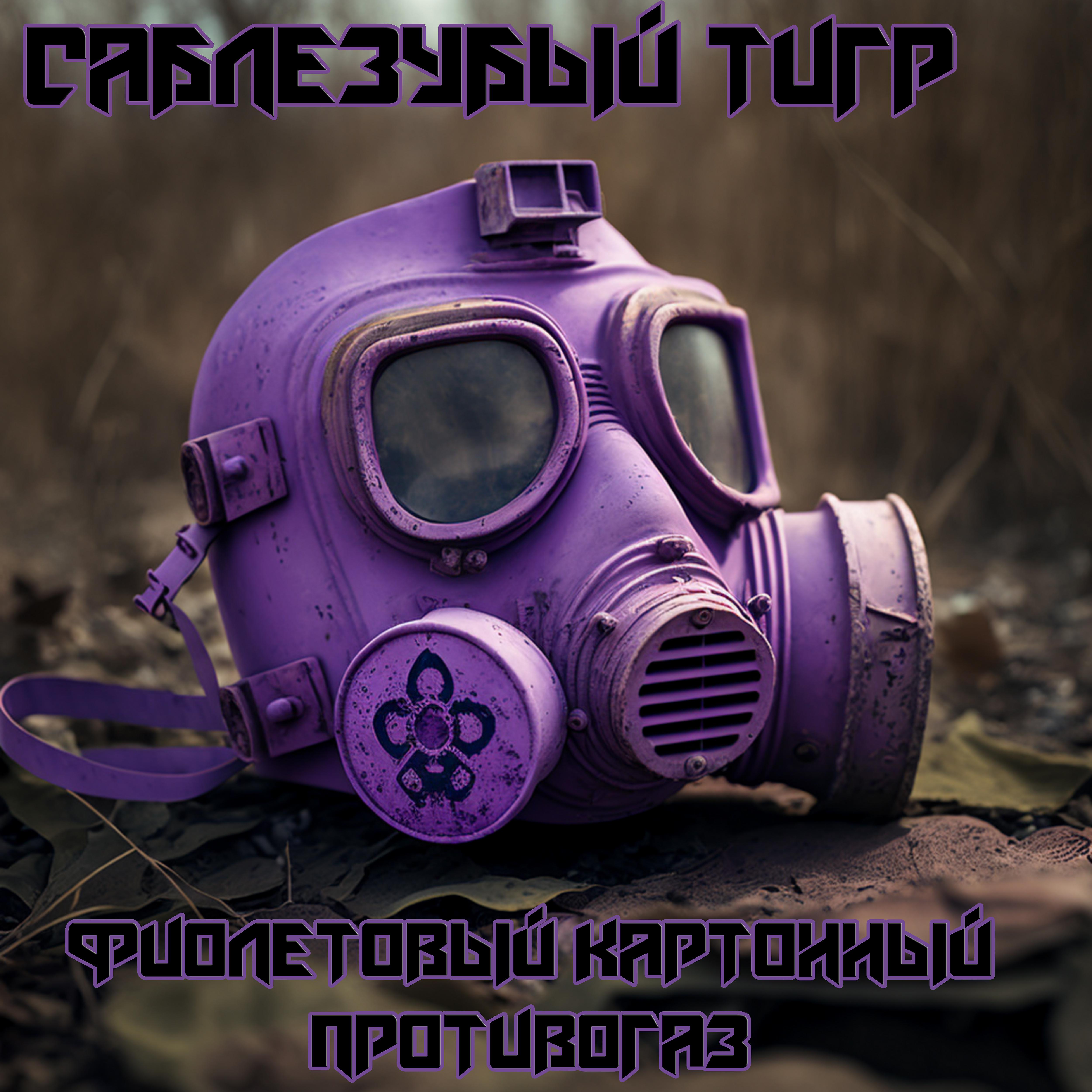 Постер альбома Фиолетовый картонный противогаз