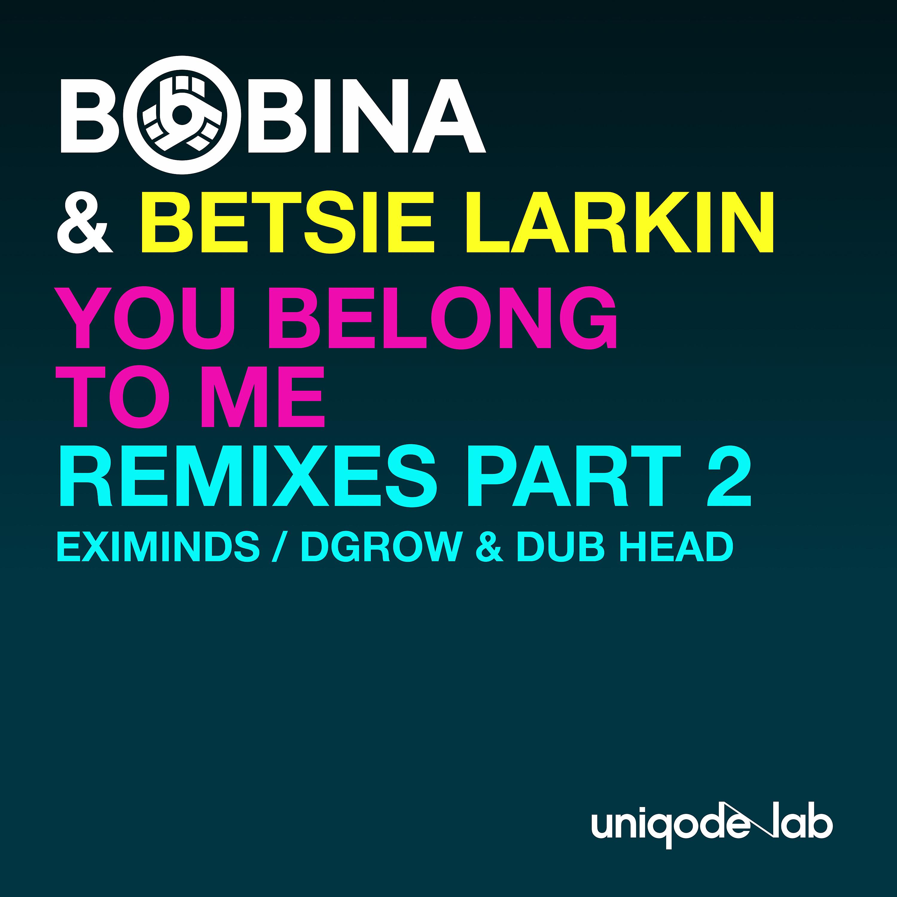 Постер альбома You Belong to Me (Remixes, Pt. 2)
