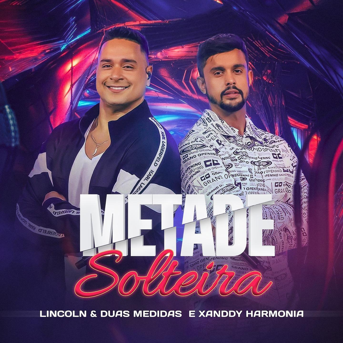 Постер альбома Metade Solteira