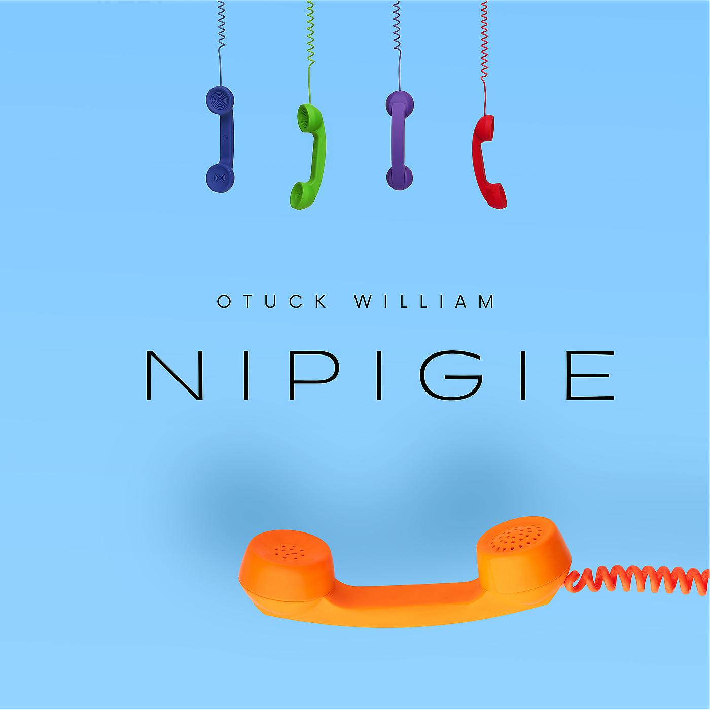 Постер альбома Nipigie