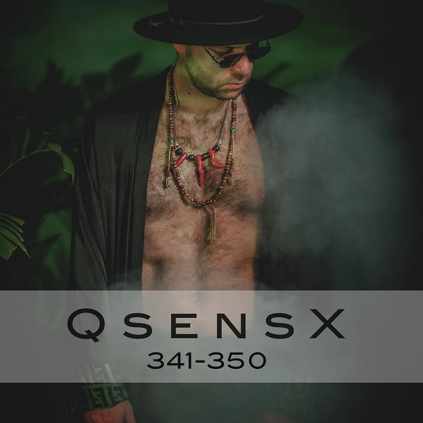 Постер альбома QsensX 341-350