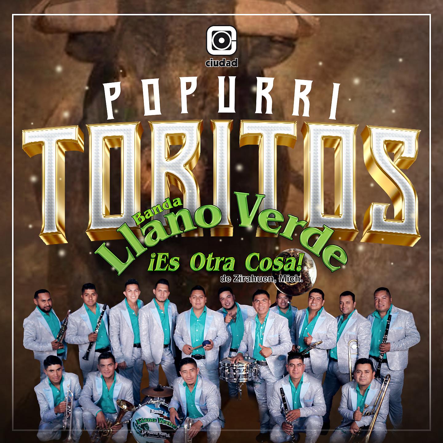 Постер альбома Popurrí Toritos