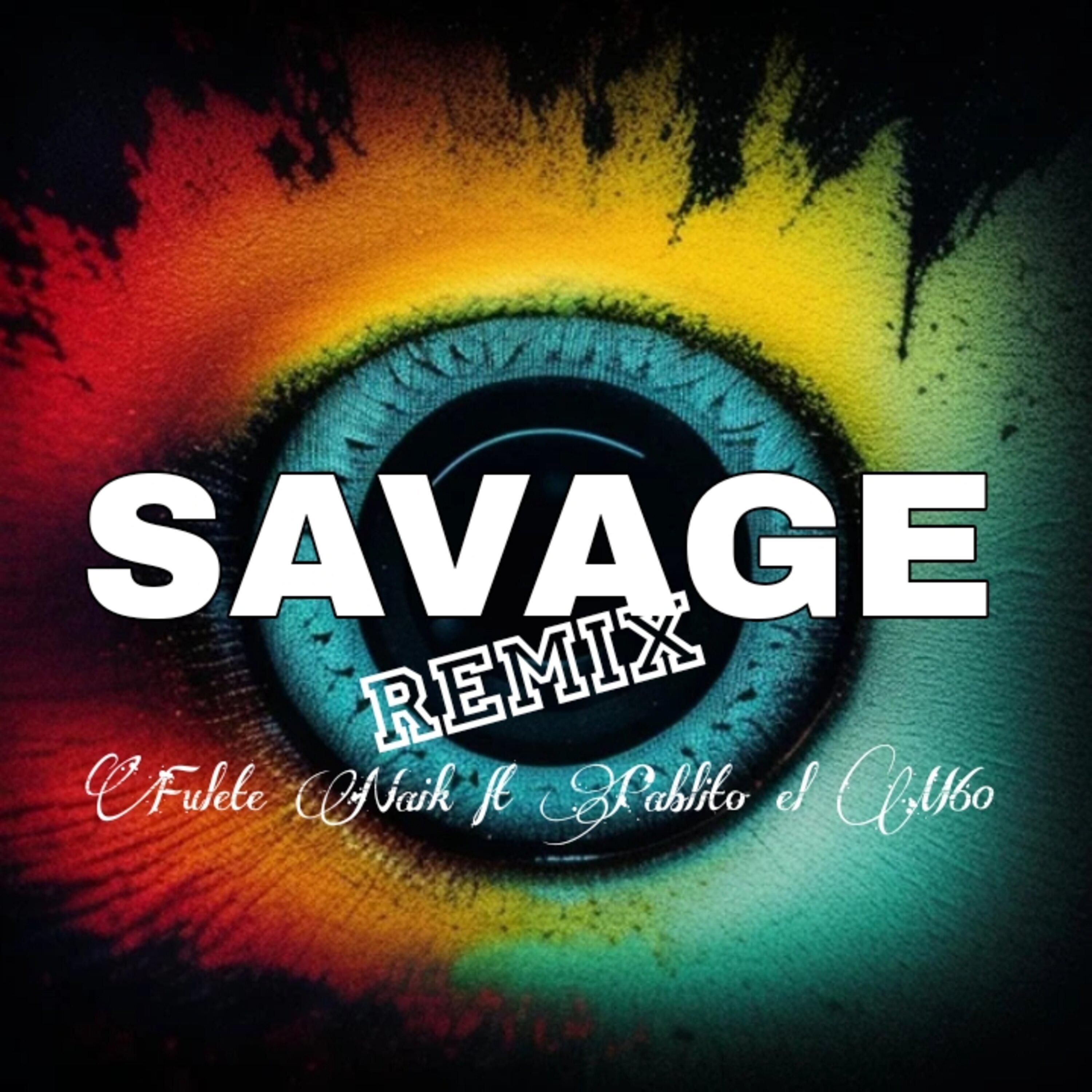Постер альбома Savage (Remix)