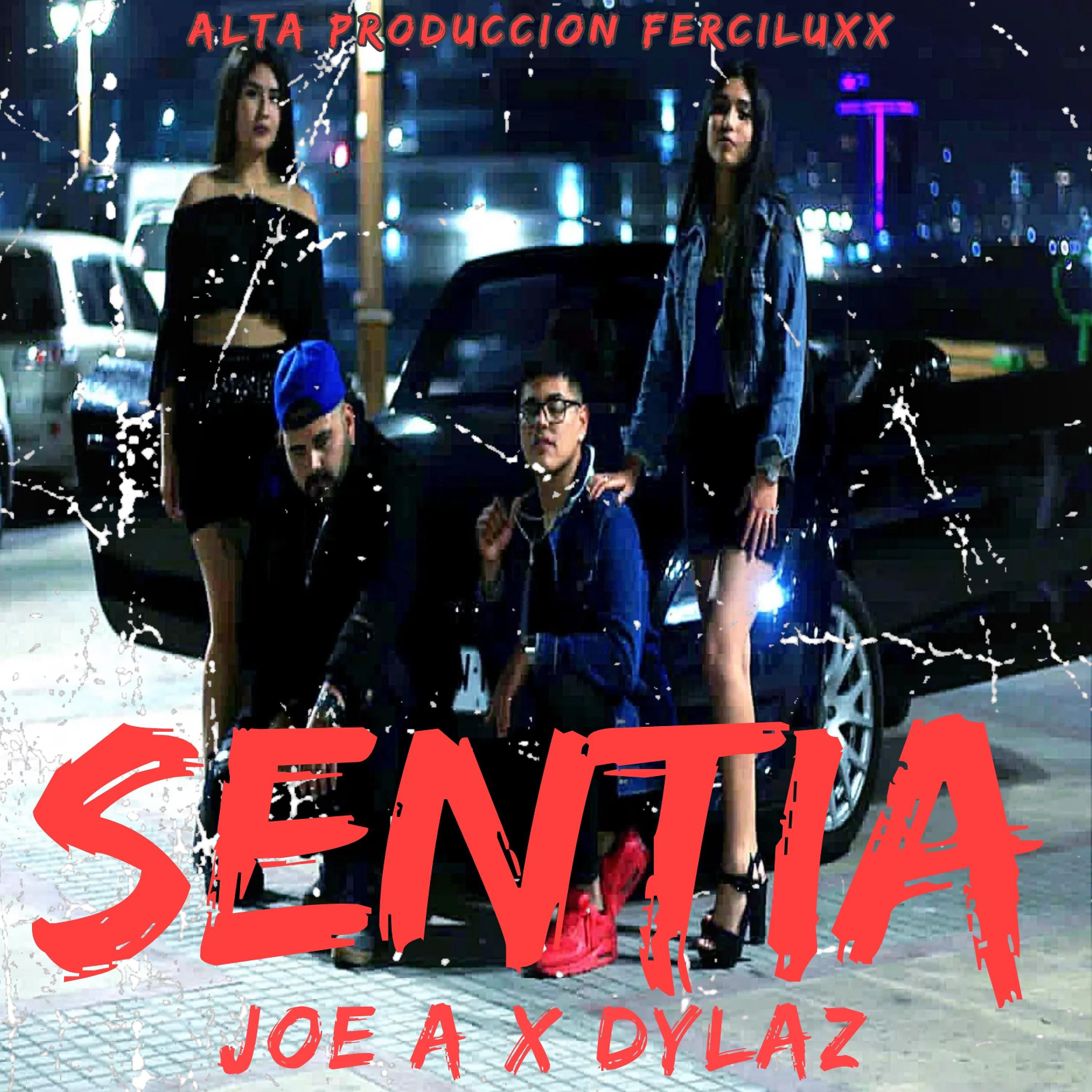 Постер альбома Sentía