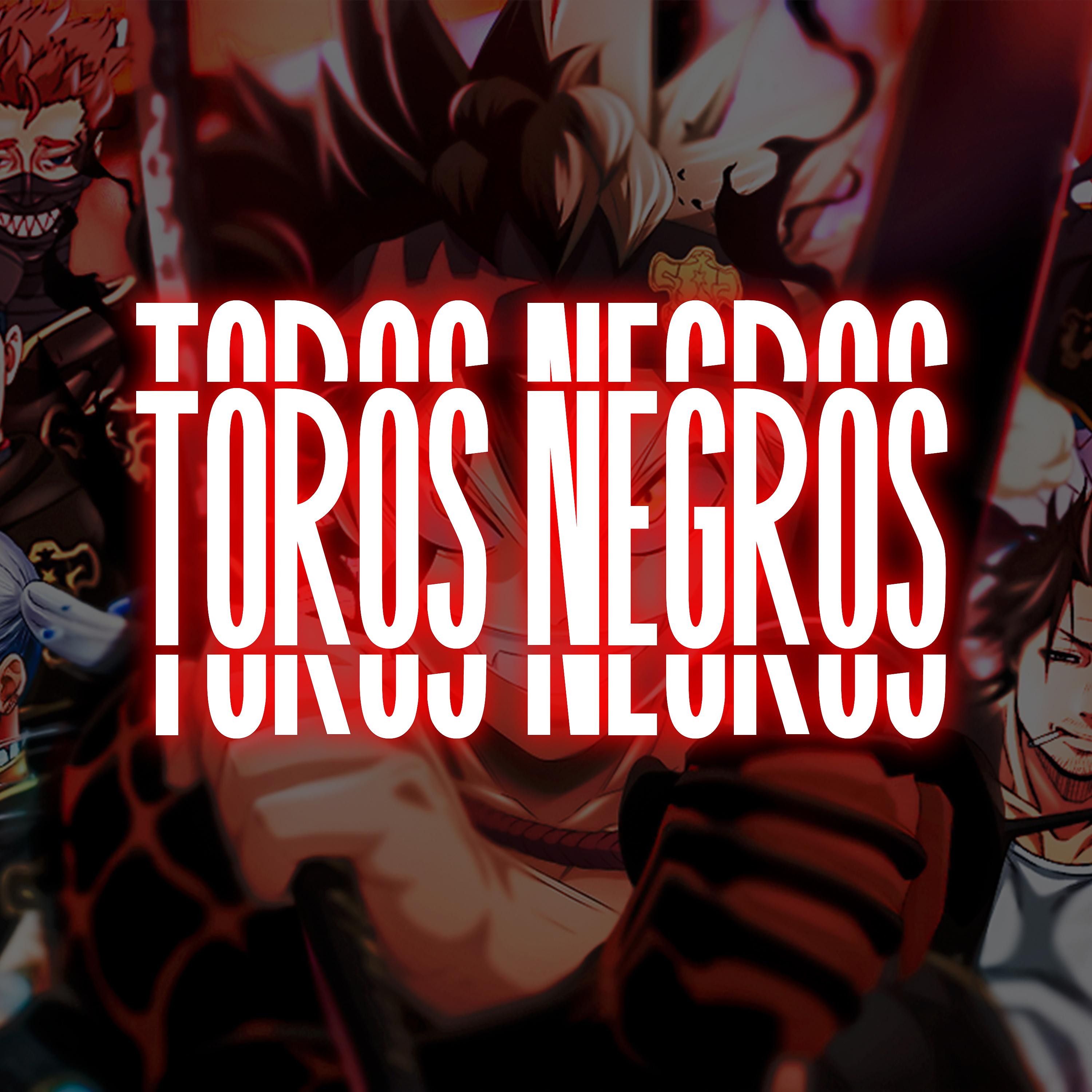 Постер альбома Toros Negros