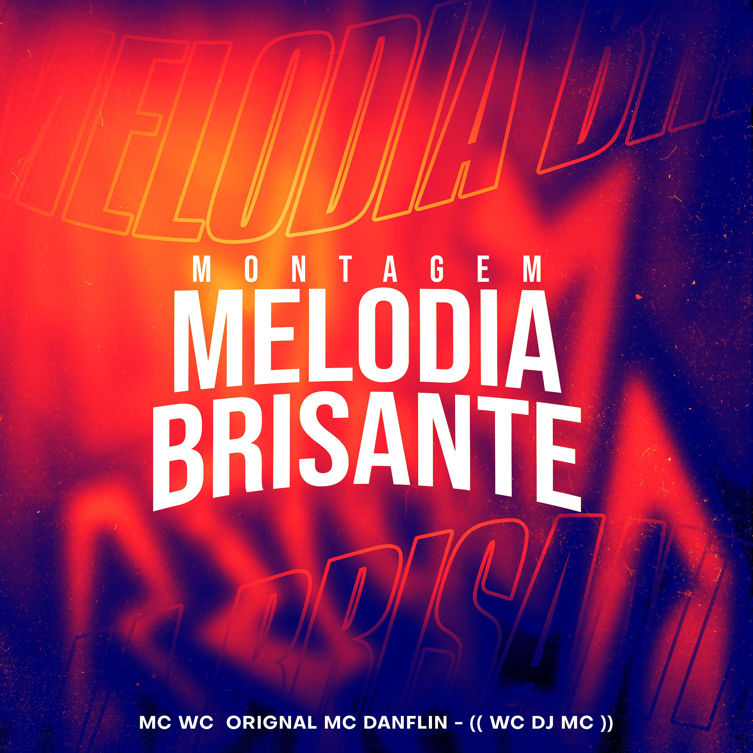Постер альбома Montagem - Melodia Brisante