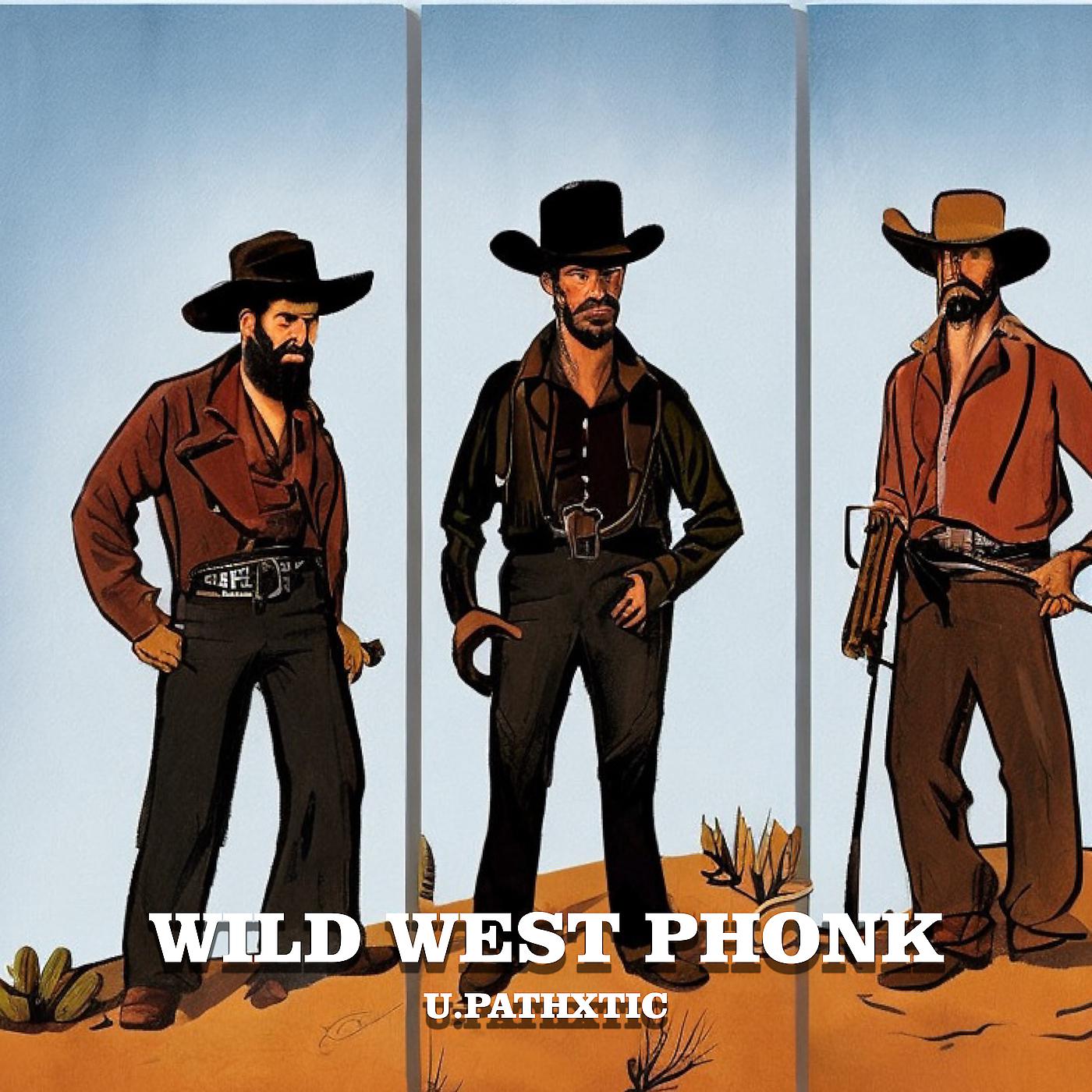 Постер альбома Wild West Phonk
