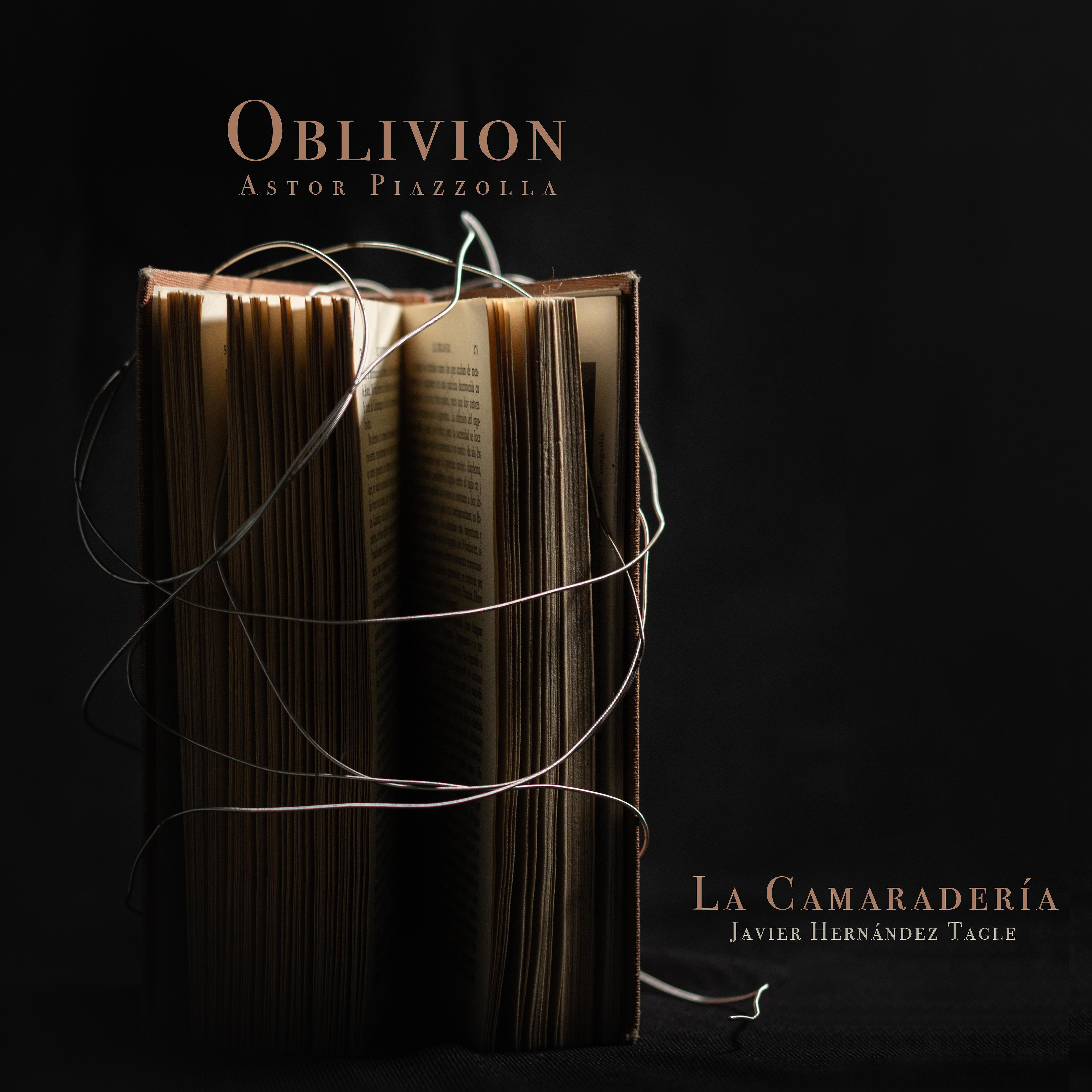 Постер альбома Oblivion (feat. Astor Piazzolla & La Camaradería)