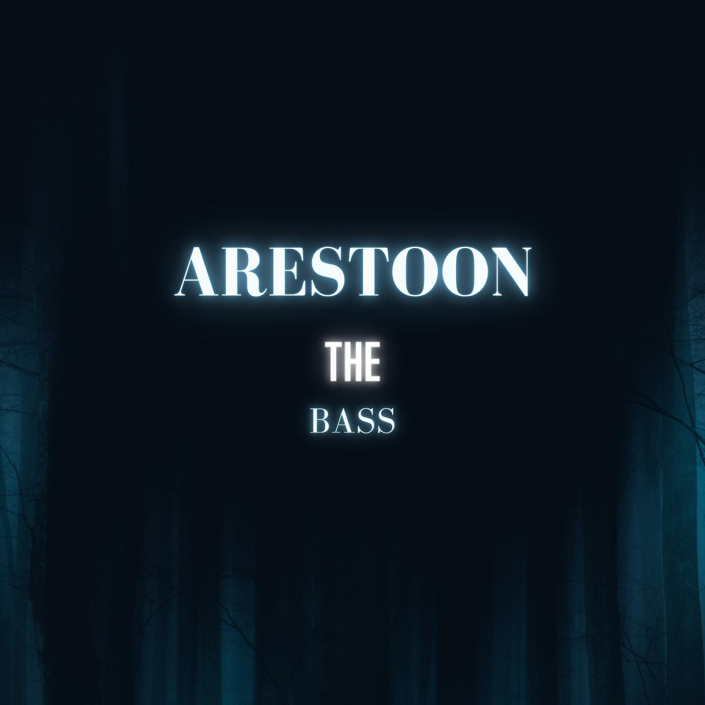 Постер альбома ReeyTOON - Bass (feat. Hasan ÜNVER)