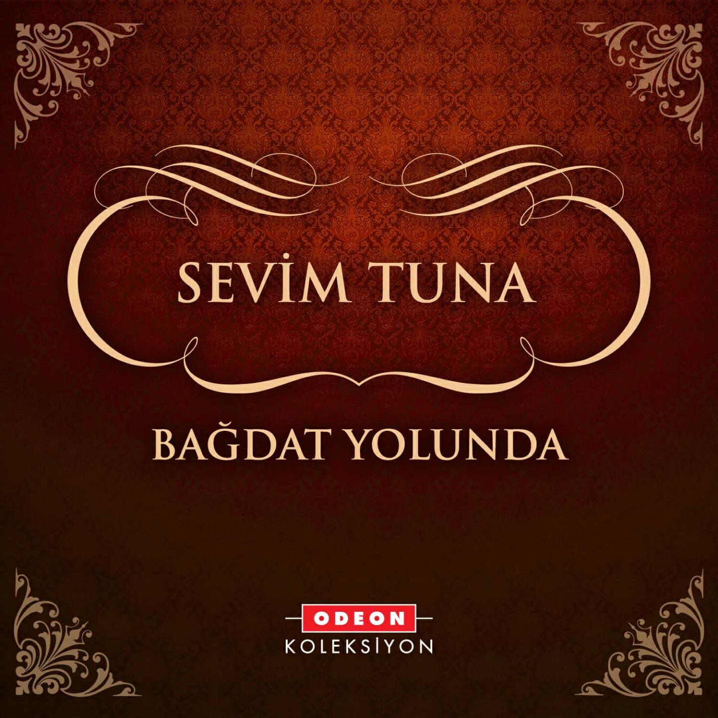 Sevim Tuna - Bir Bakış Baktın