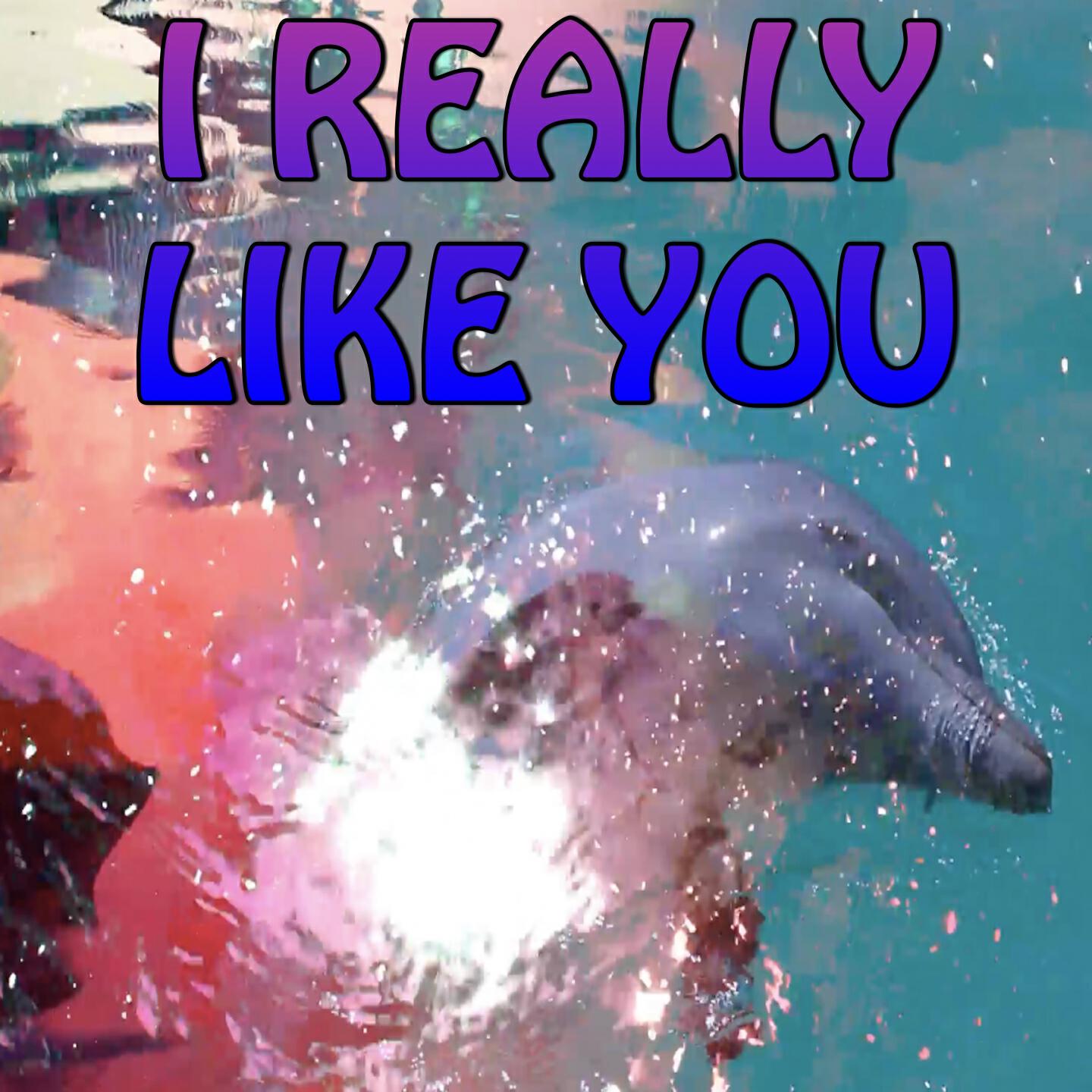 T.A.C Nation - I Really Like You - Tribute to Carly Rae Jepsen