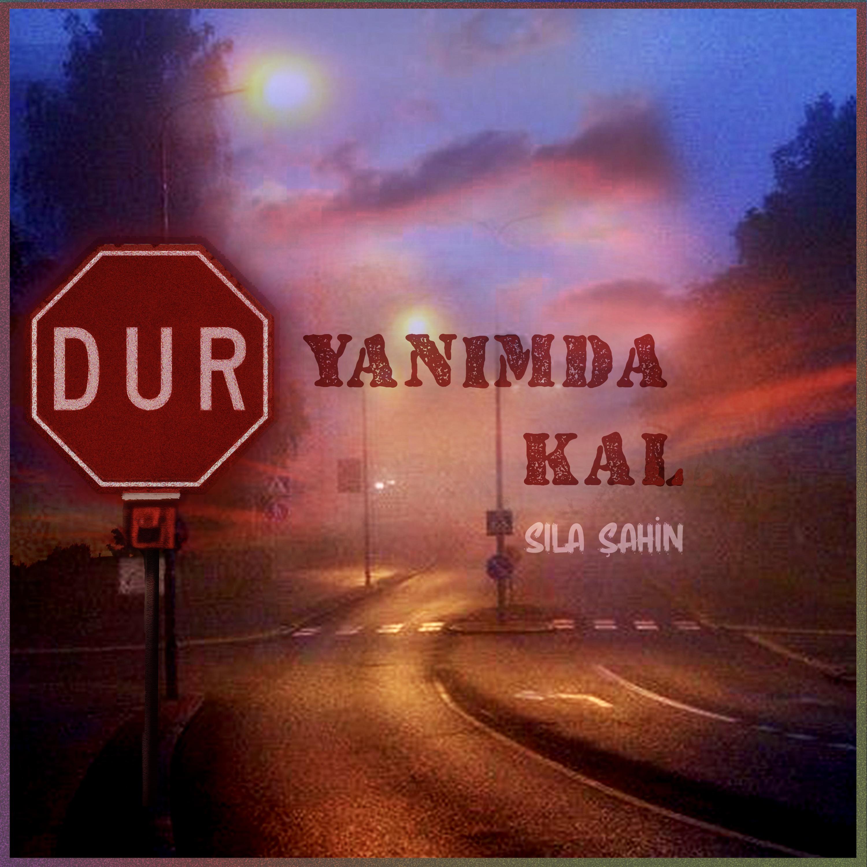 Постер альбома Dur Yanımda Kal