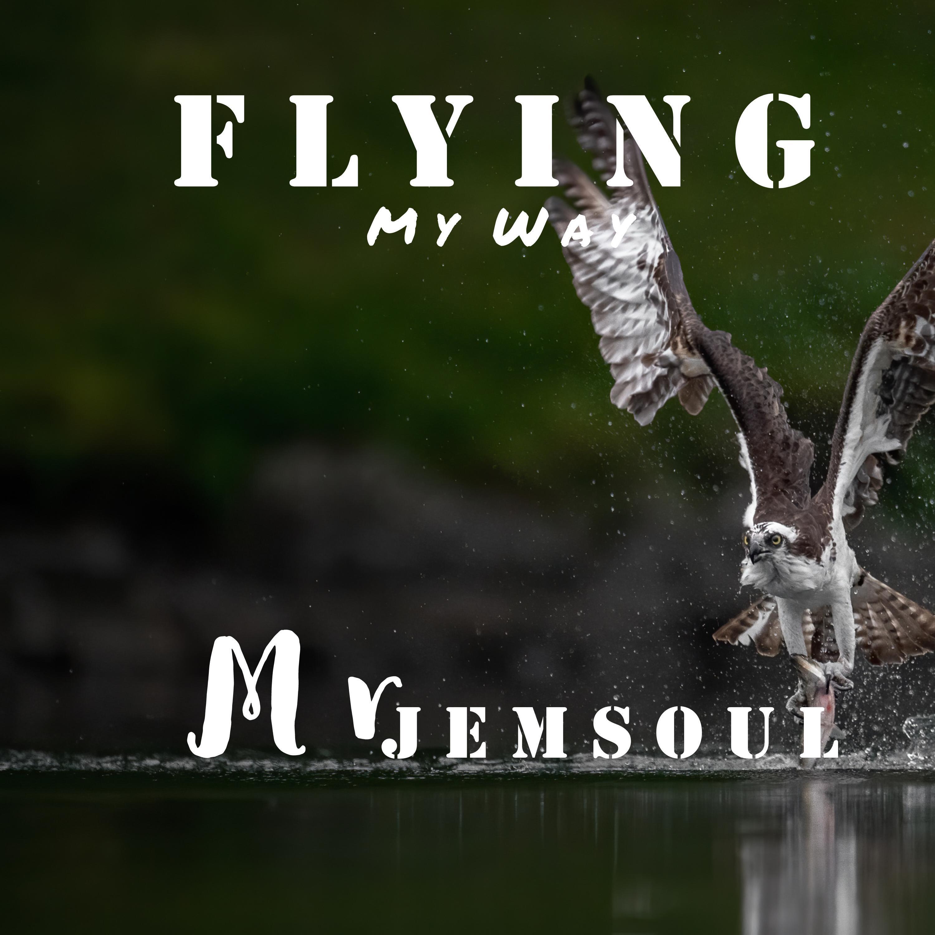 Постер альбома Flying My Way