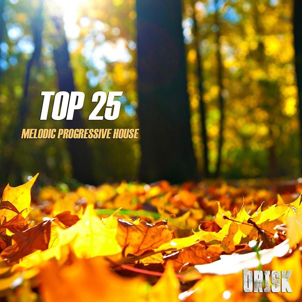 Постер альбома Melodic Progressive House - Top 25