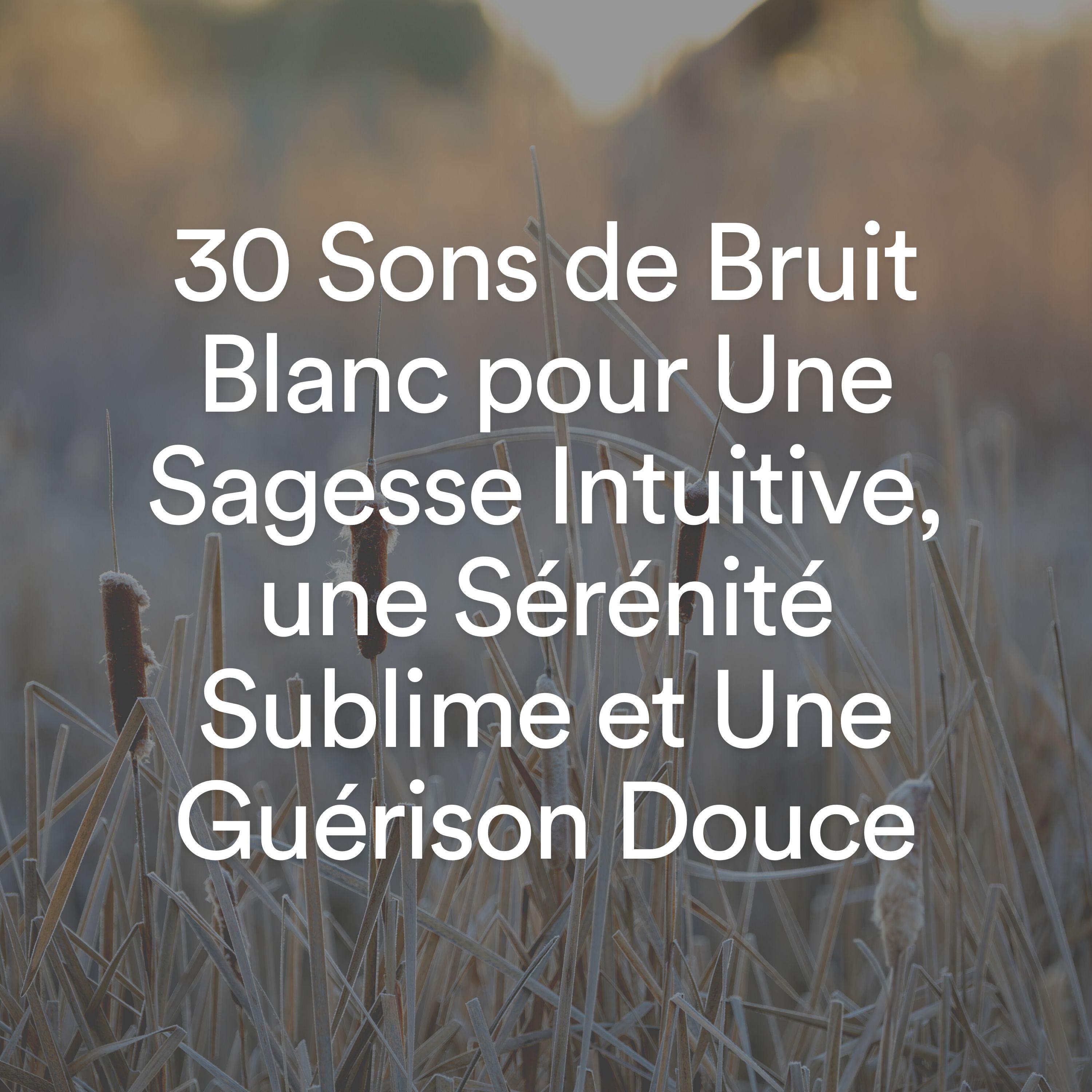 Постер альбома 30 Sons de Bruit Blanc pour Une Sagesse Intuitive, une Sérénité Sublime et Une Guérison Douce