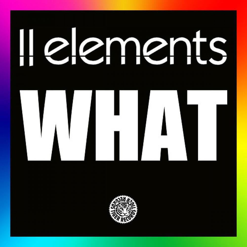 2Elements - What (Club Edit)
