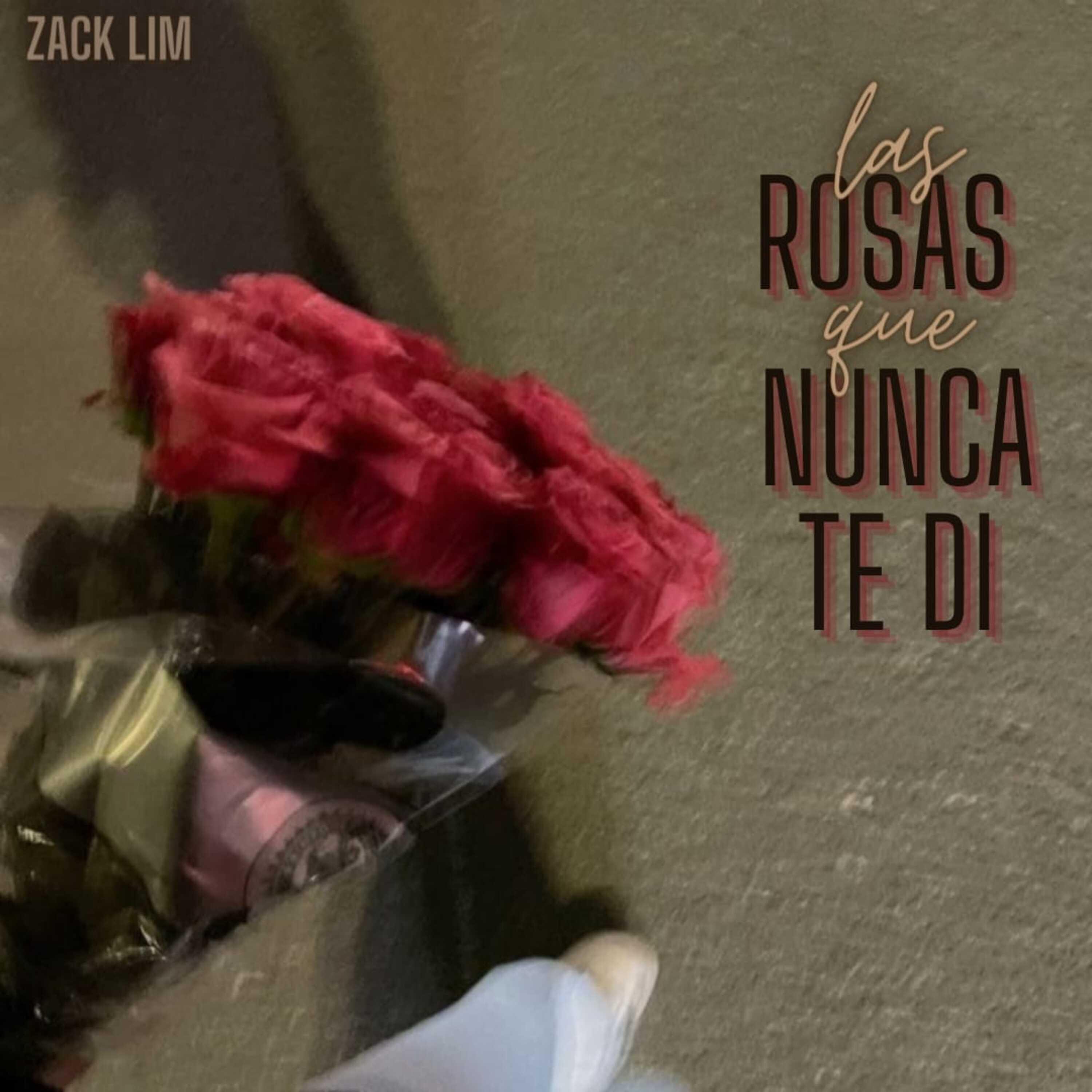 Постер альбома Las Rosas Que Nunca Te Di