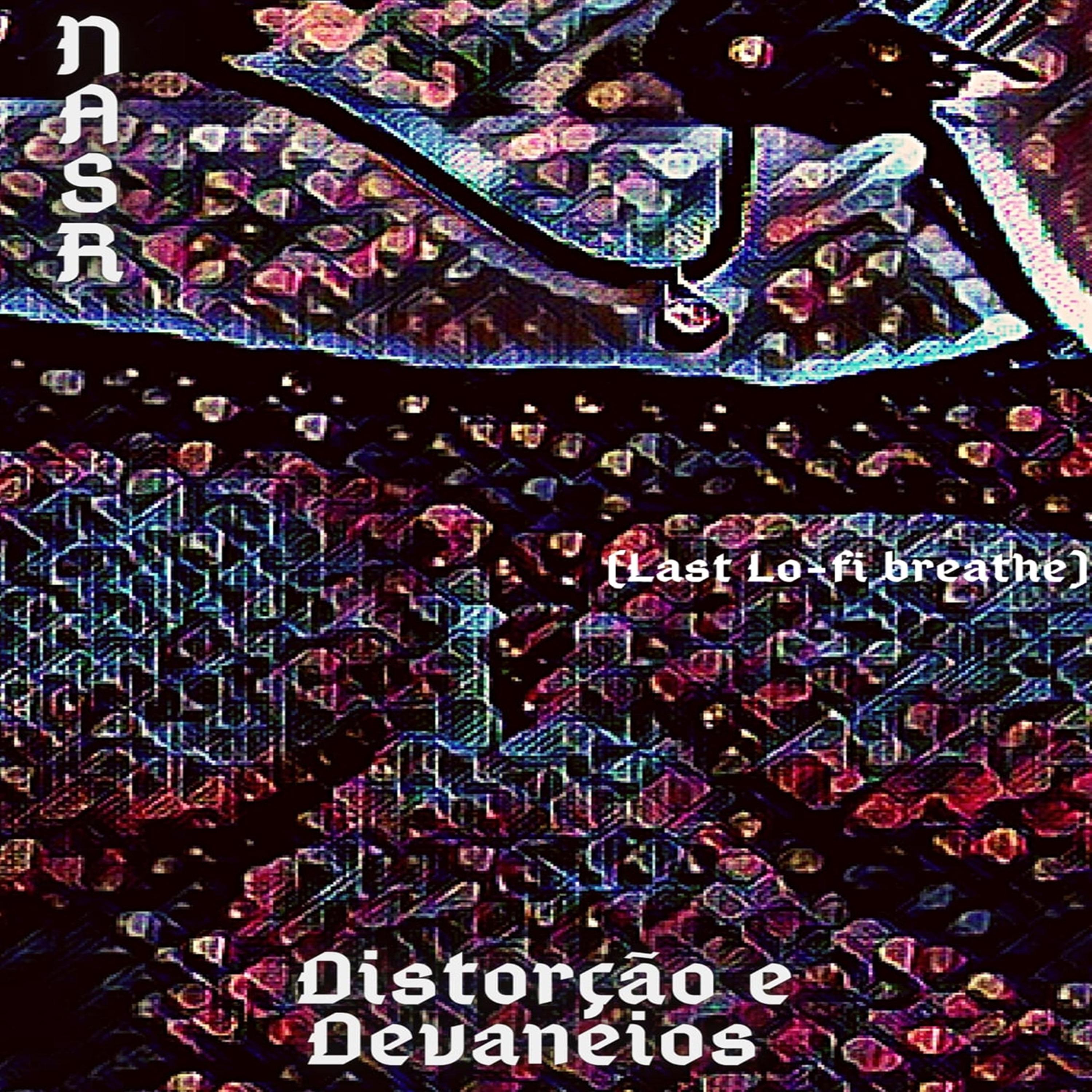 Постер альбома Distorção e Devaneios (Last Lo-Fi Breathe)