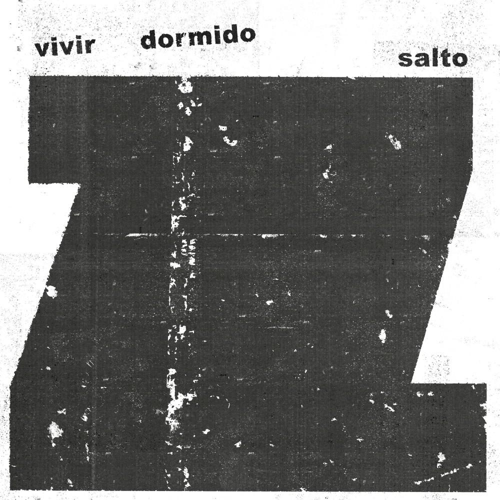 Постер альбома Vivir Dormido