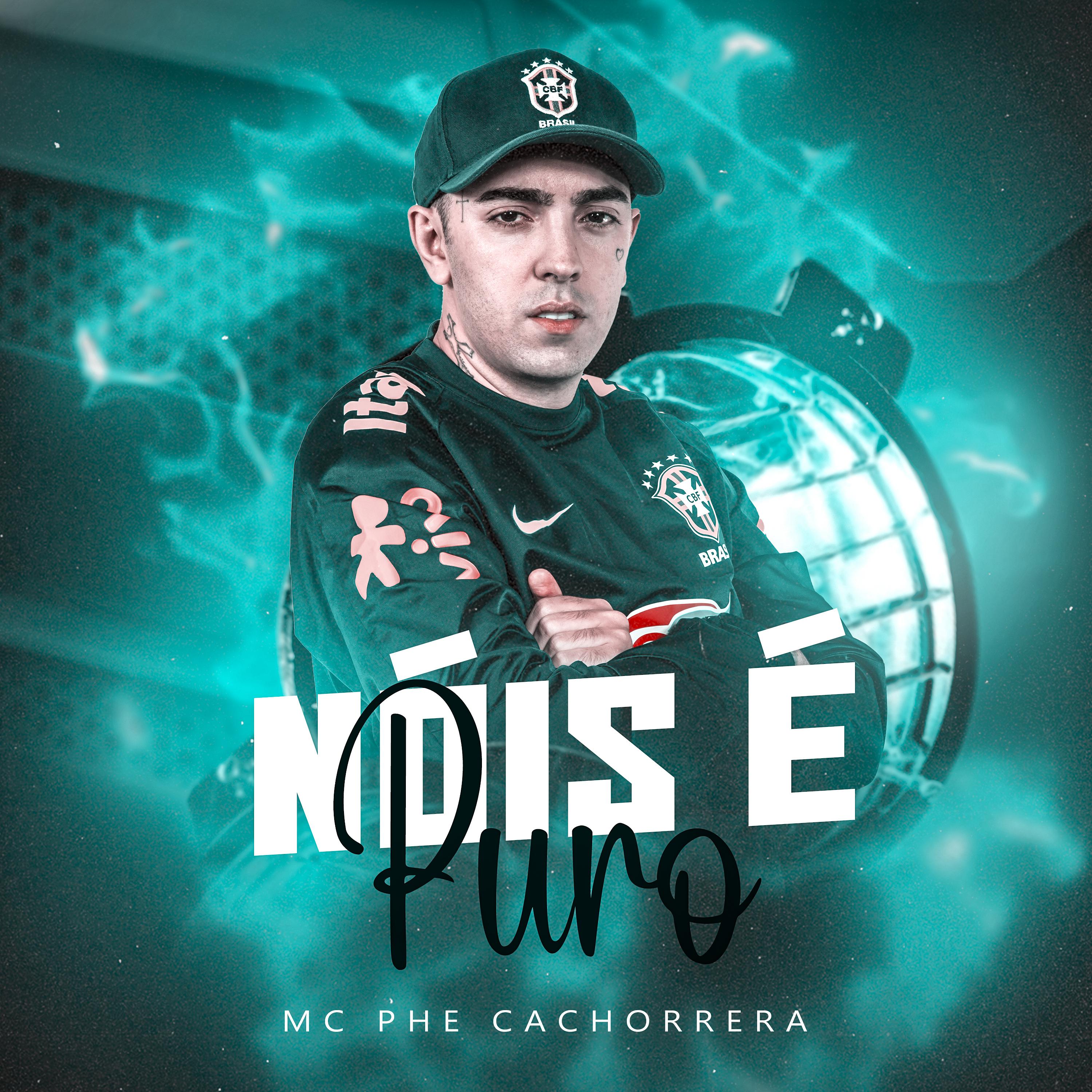 Постер альбома Nóis É Puro