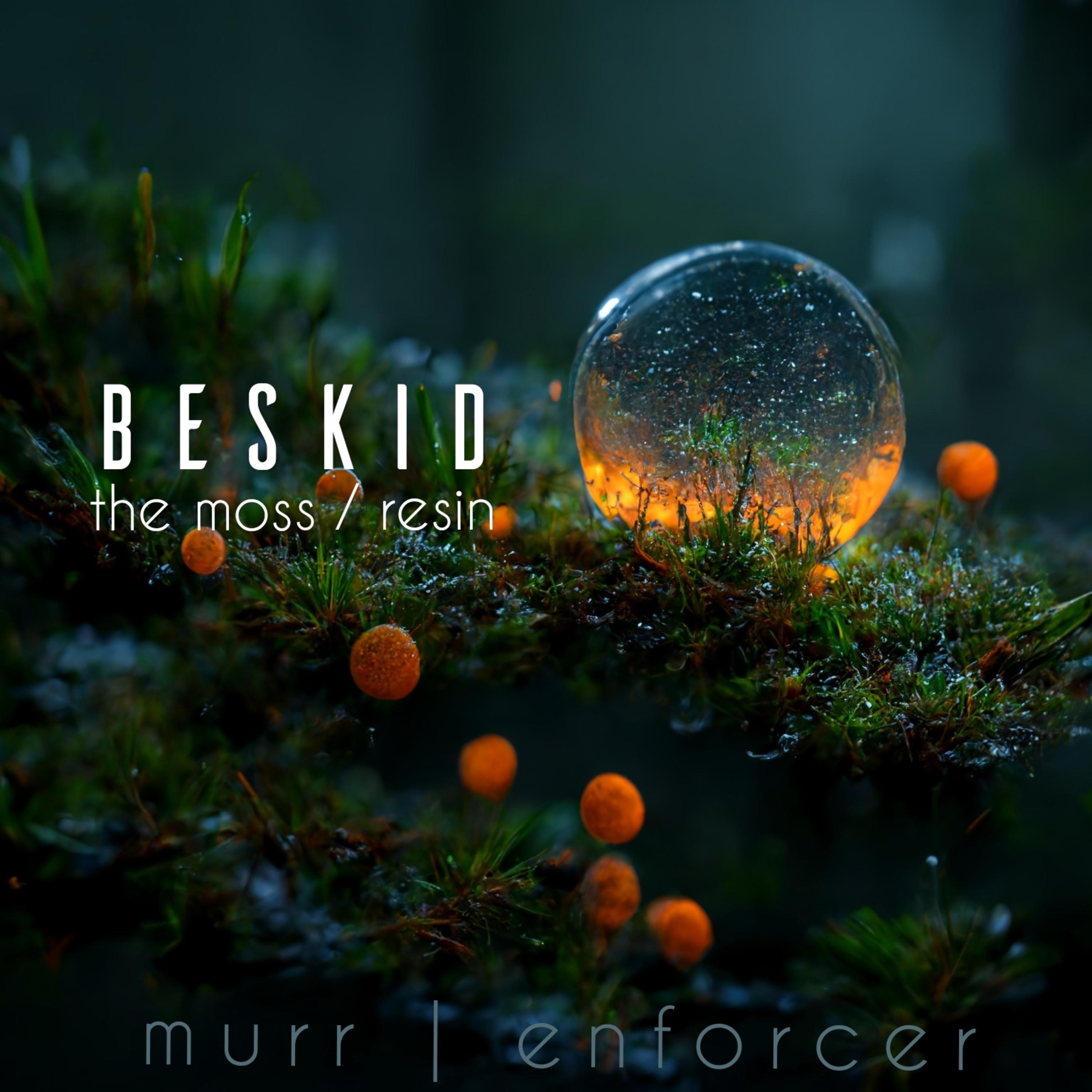 Постер альбома Beskid