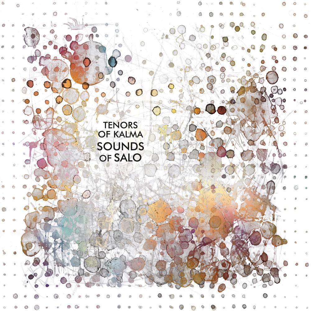 Постер альбома Sounds of Salo