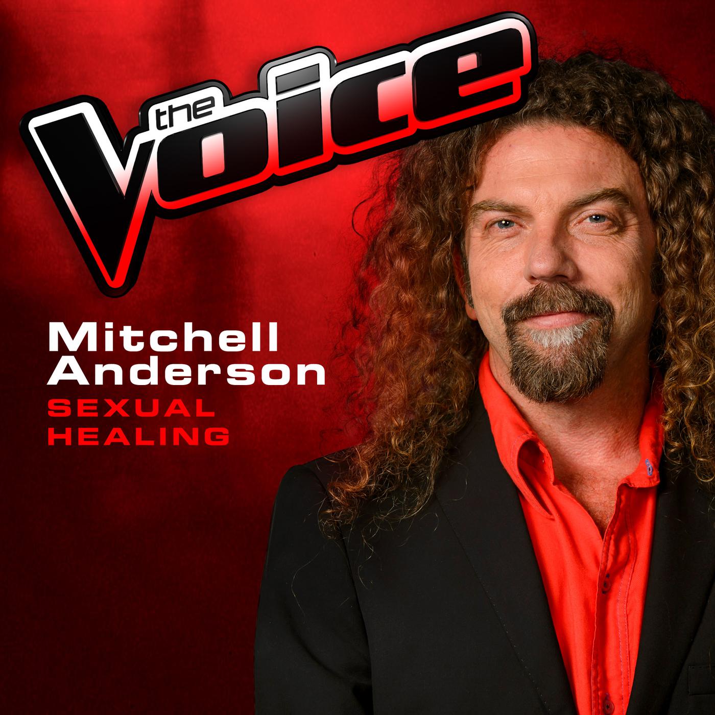 Постер альбома Sexual Healing (The Voice 2013 Performance)