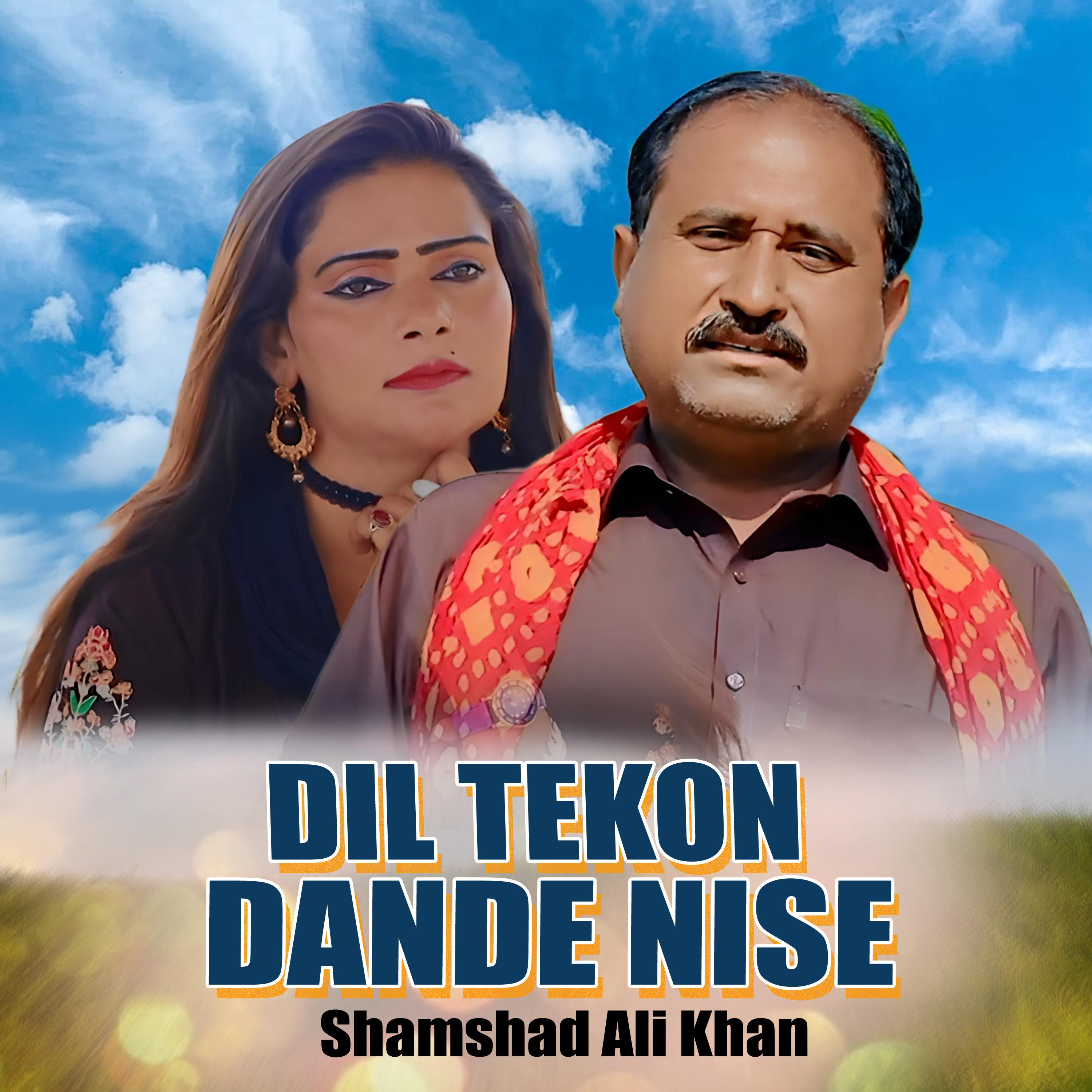 Постер альбома Dil Tekon Dande Nise