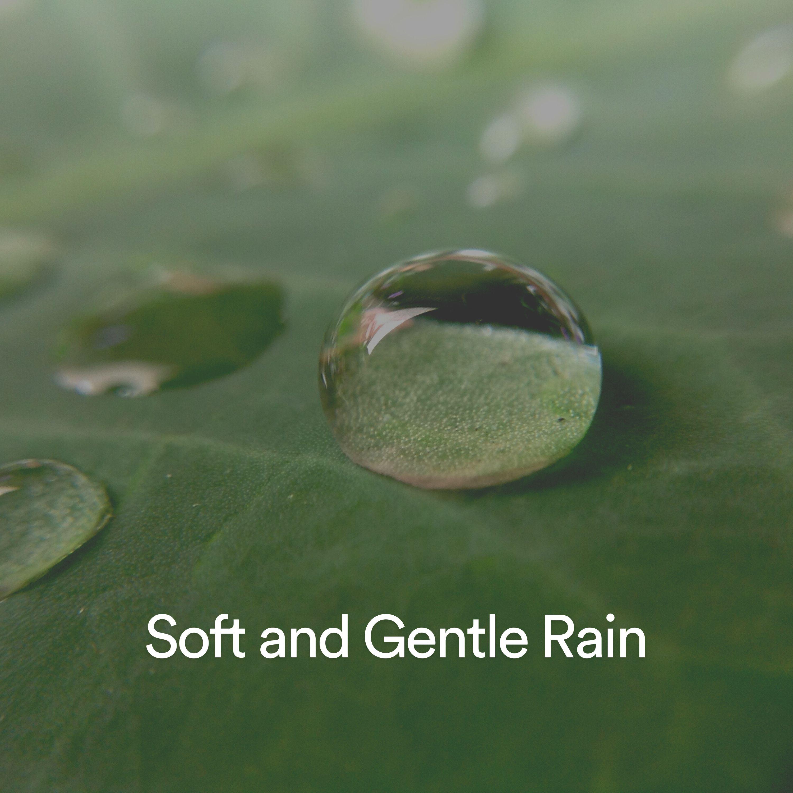 Постер альбома Soft and Gentle Rain