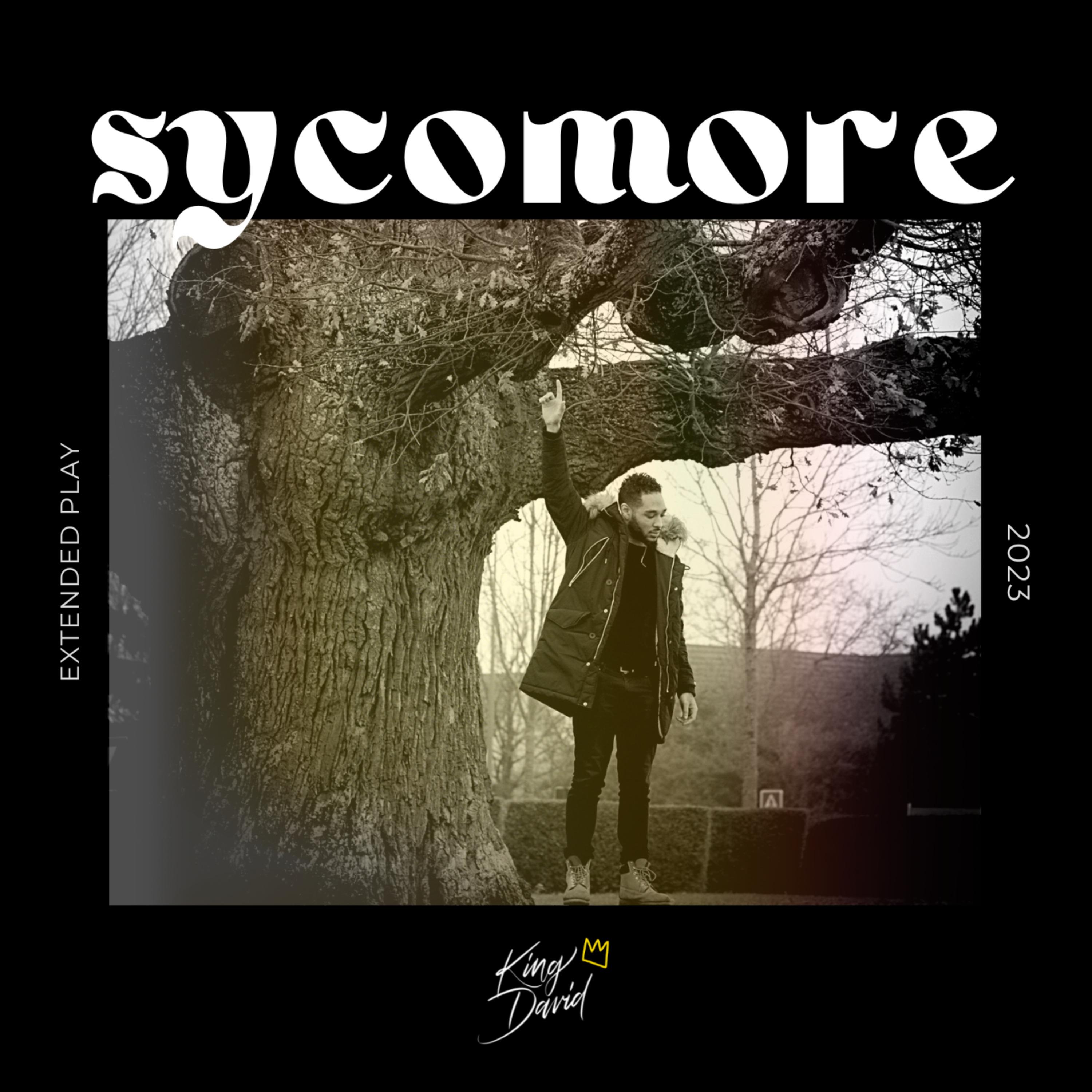 Постер альбома SYCOMORE