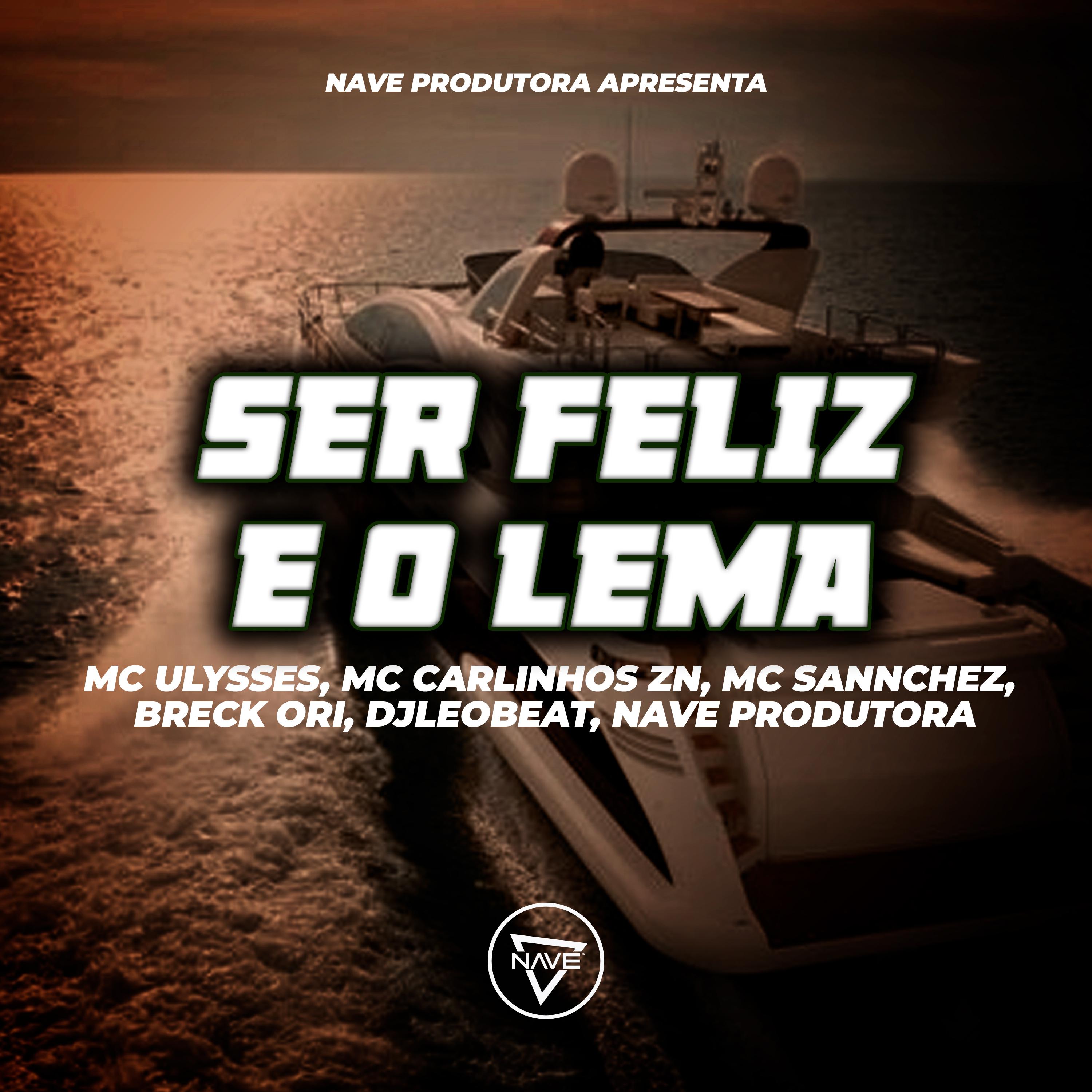 Постер альбома Ser Feliz E O Lema