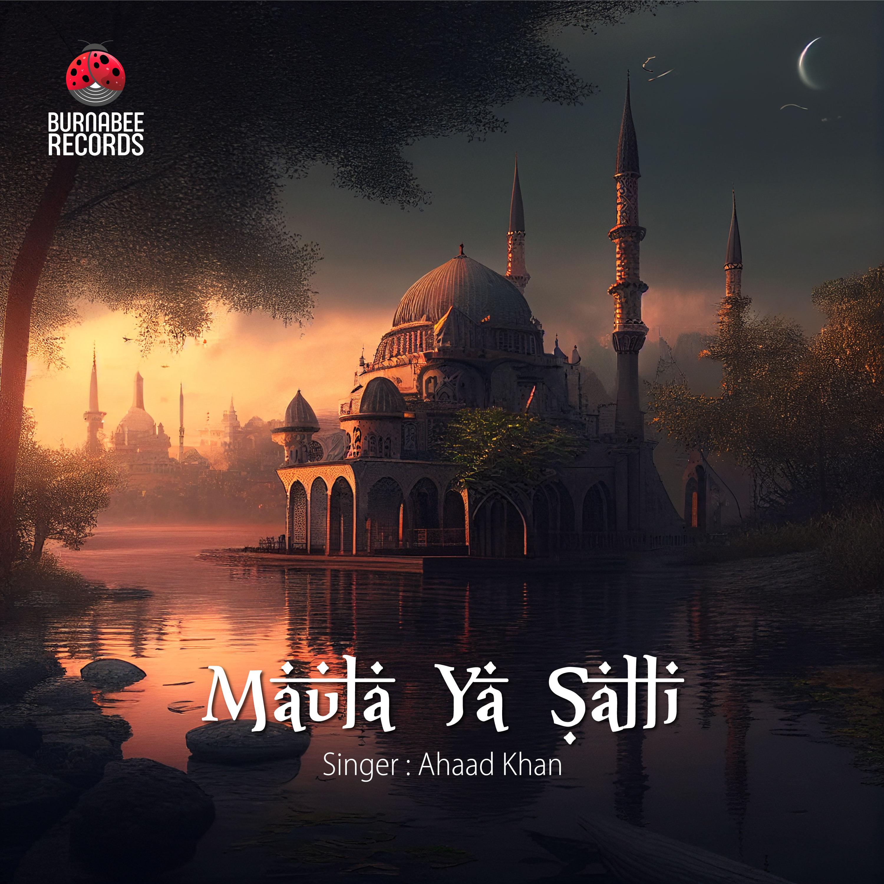 Постер альбома Maula Ya Salli