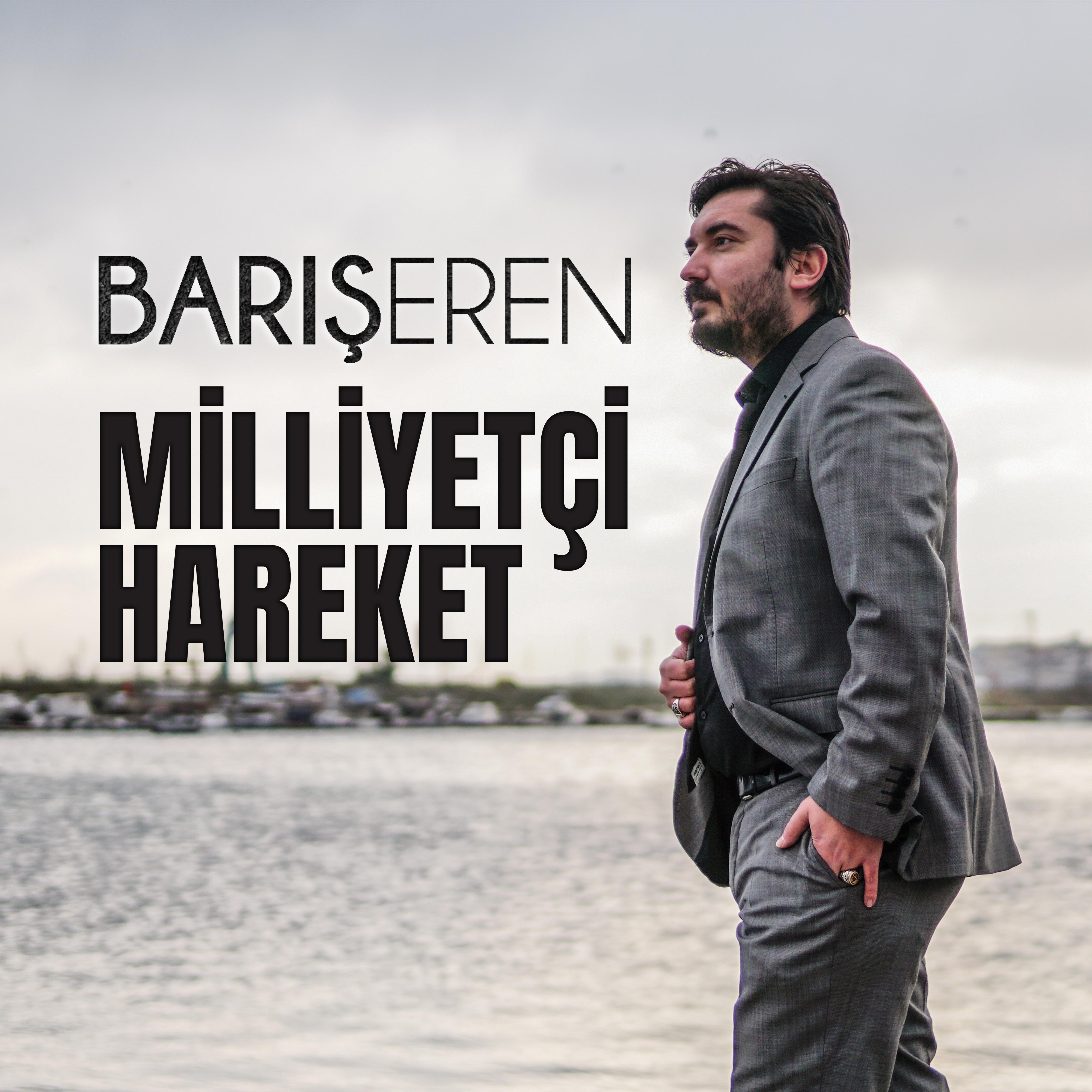 Постер альбома Milliyetçi Hareket