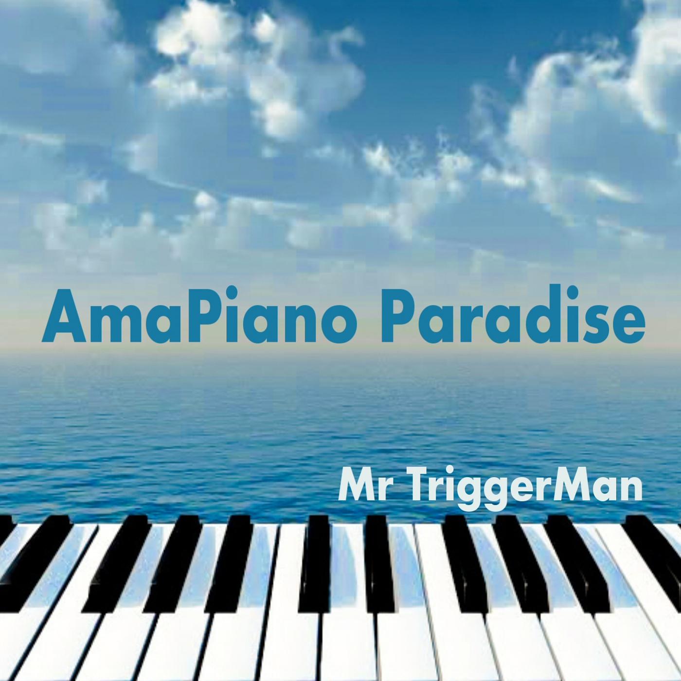 Постер альбома AmaPiano Paradise