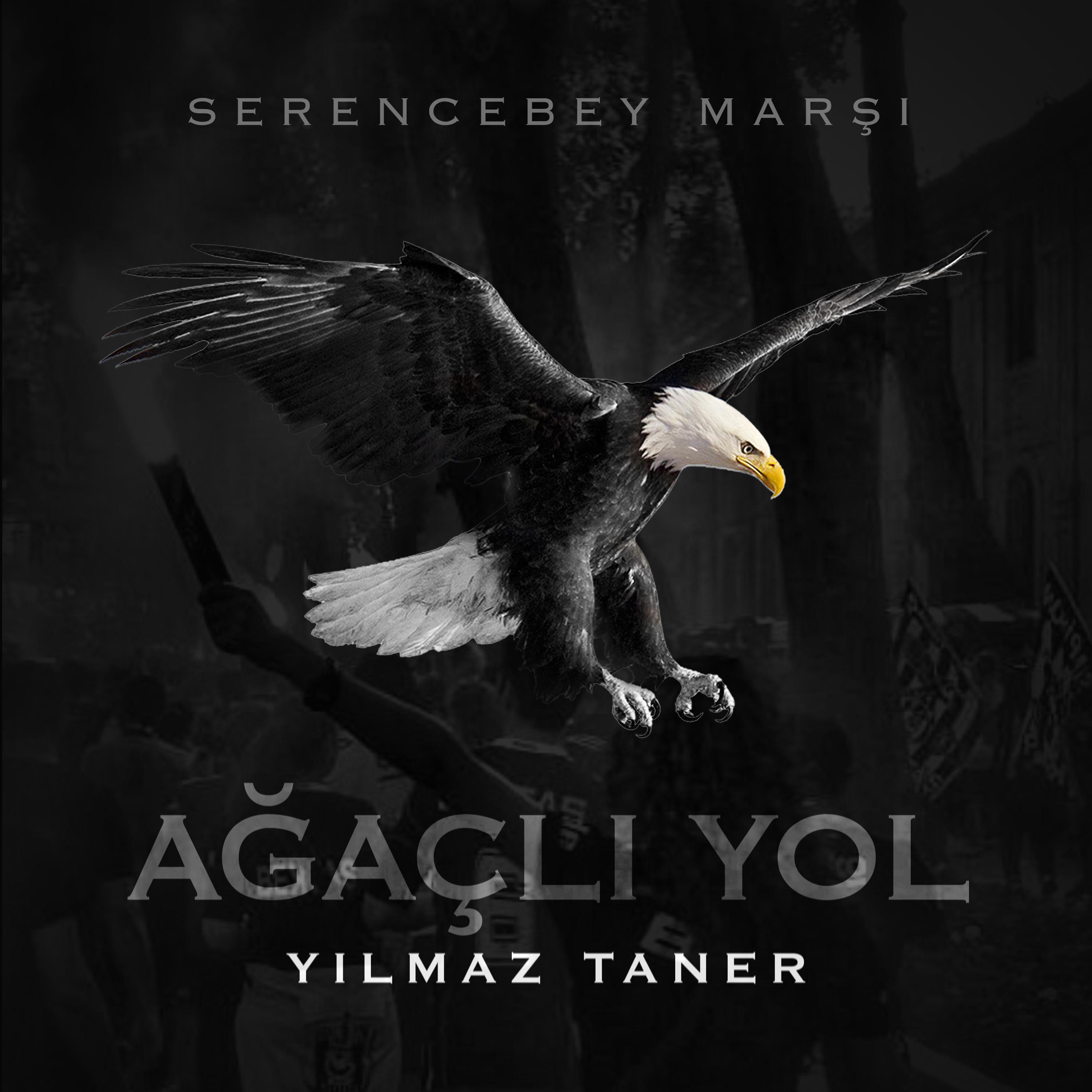 Постер альбома Serencebey Marşı