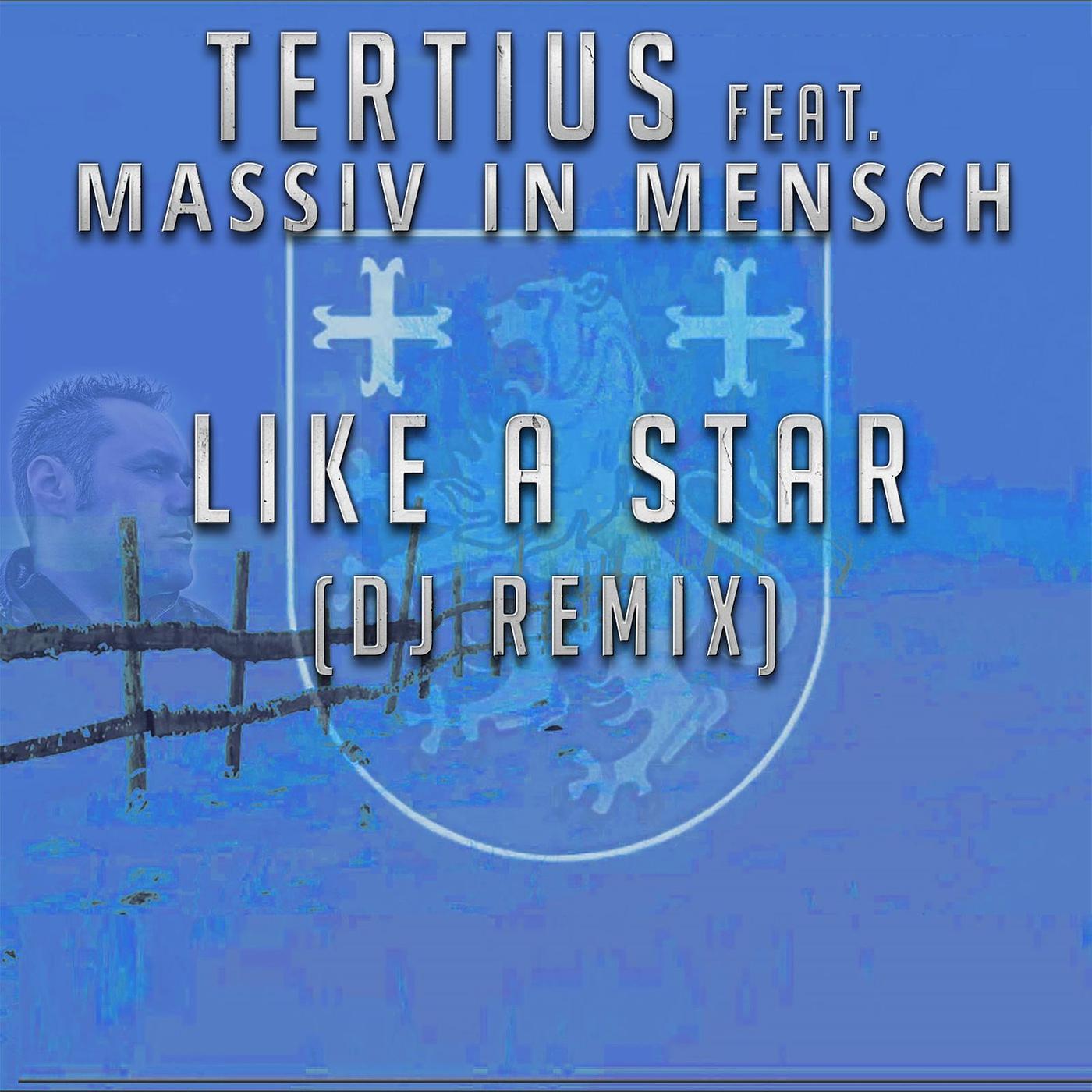 Постер альбома Like a Star (DJ Remix)