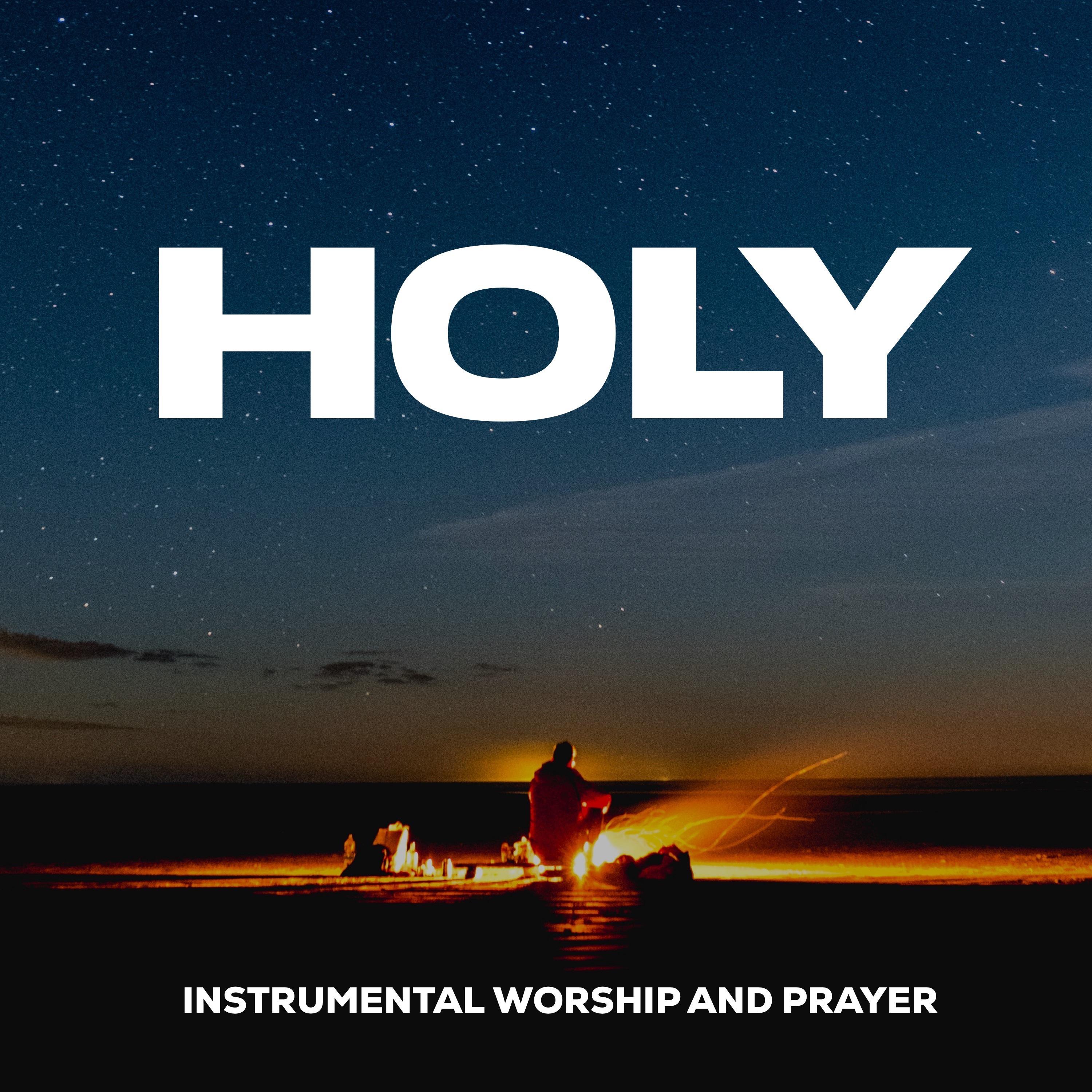 Постер альбома Holy Heavenly