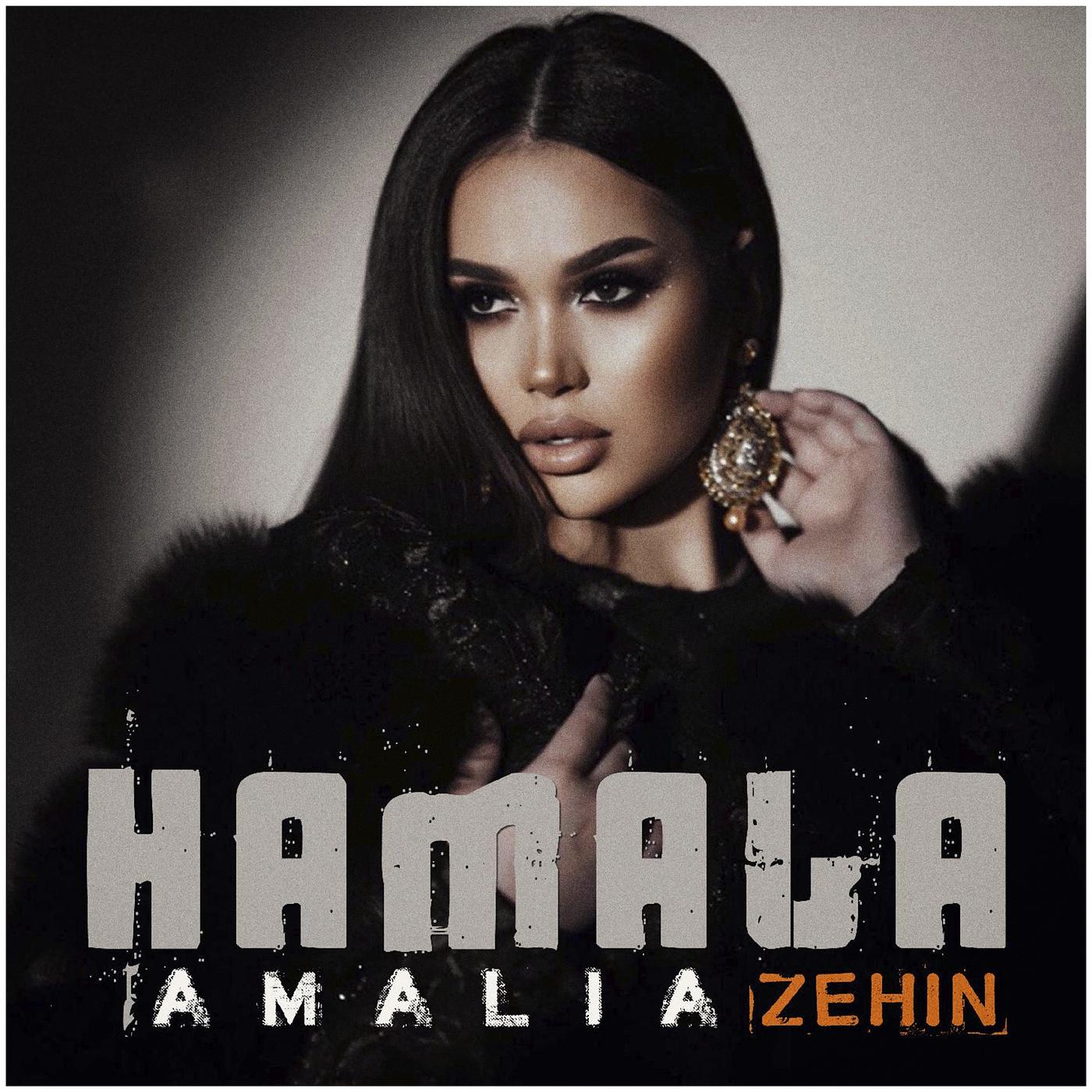 Постер альбома Hamala