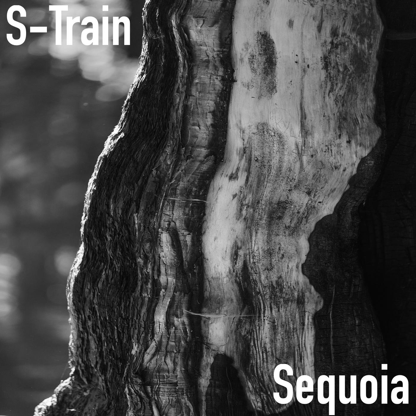 Постер альбома Sequoia