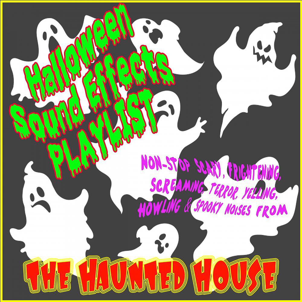 Постер альбома Halloween Sound Effects Playlist (Non-Stop Scary, Frightening, Screaming, Terror, Yelling, Howling & Spooky Noises from the Haunted House)
