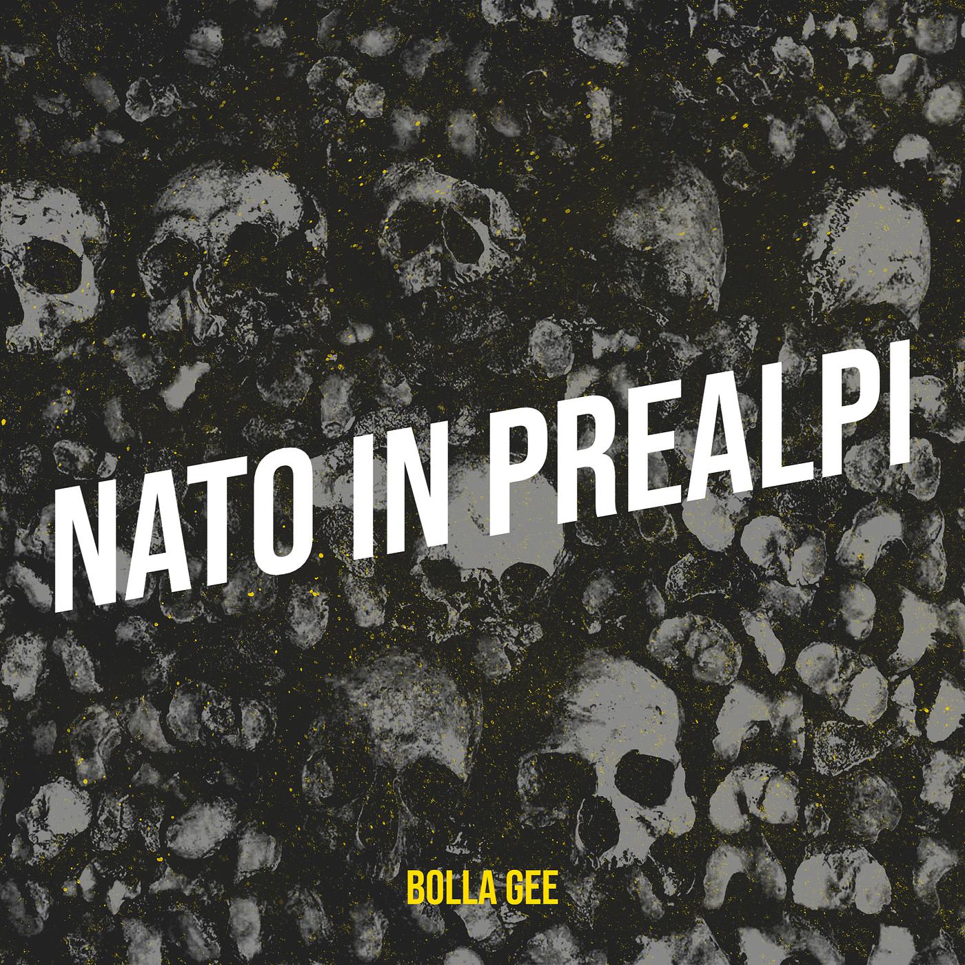 Постер альбома Nato in Prealpi