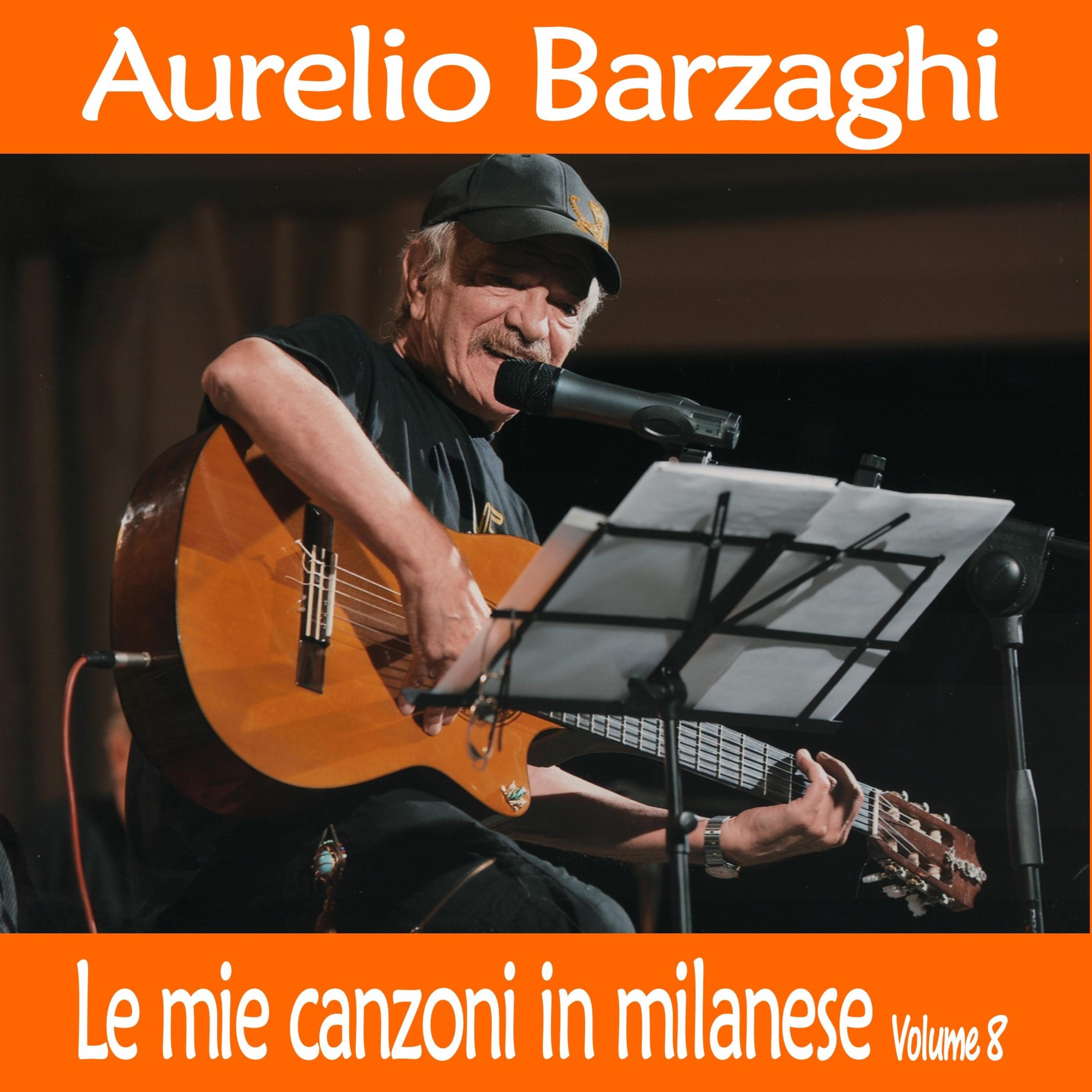 Постер альбома Le mie canzoni in milanese, Vol. 8