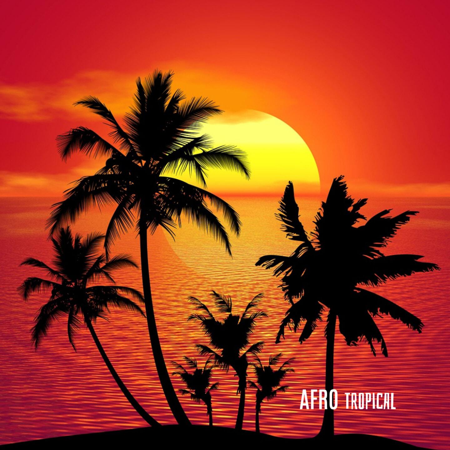 Постер альбома Afro Tropical