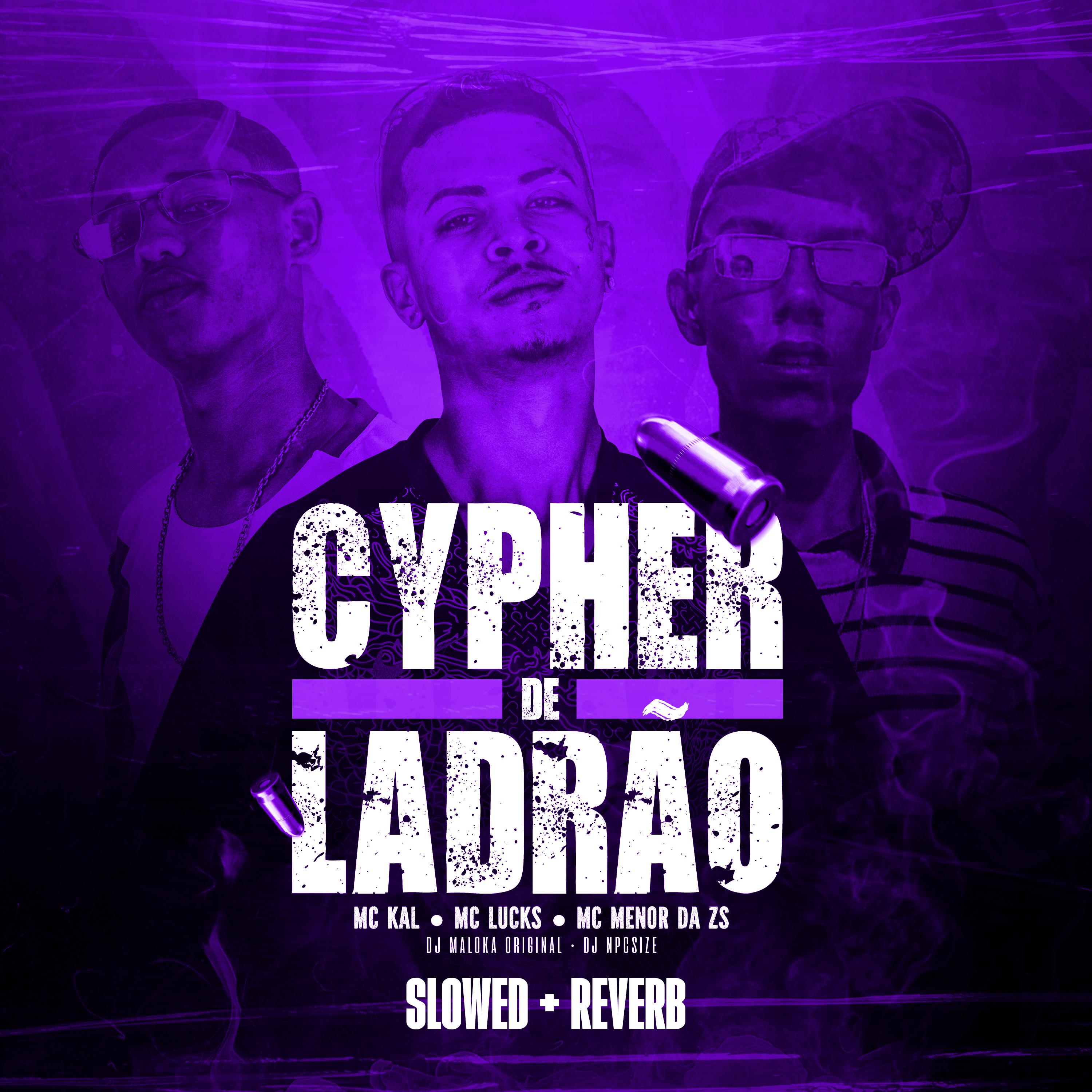 Постер альбома Cypher De Ladrão