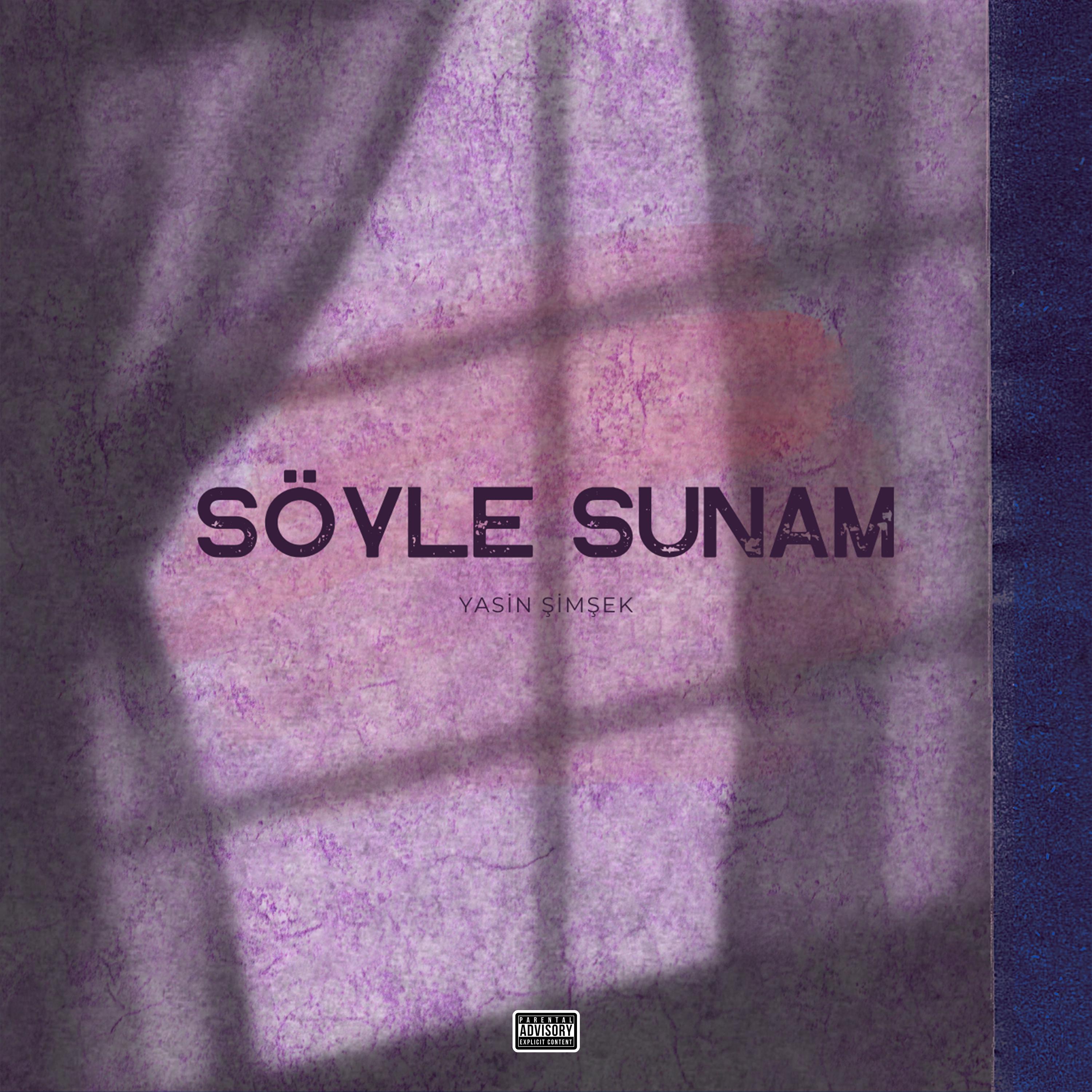 Постер альбома Söyle Sunam